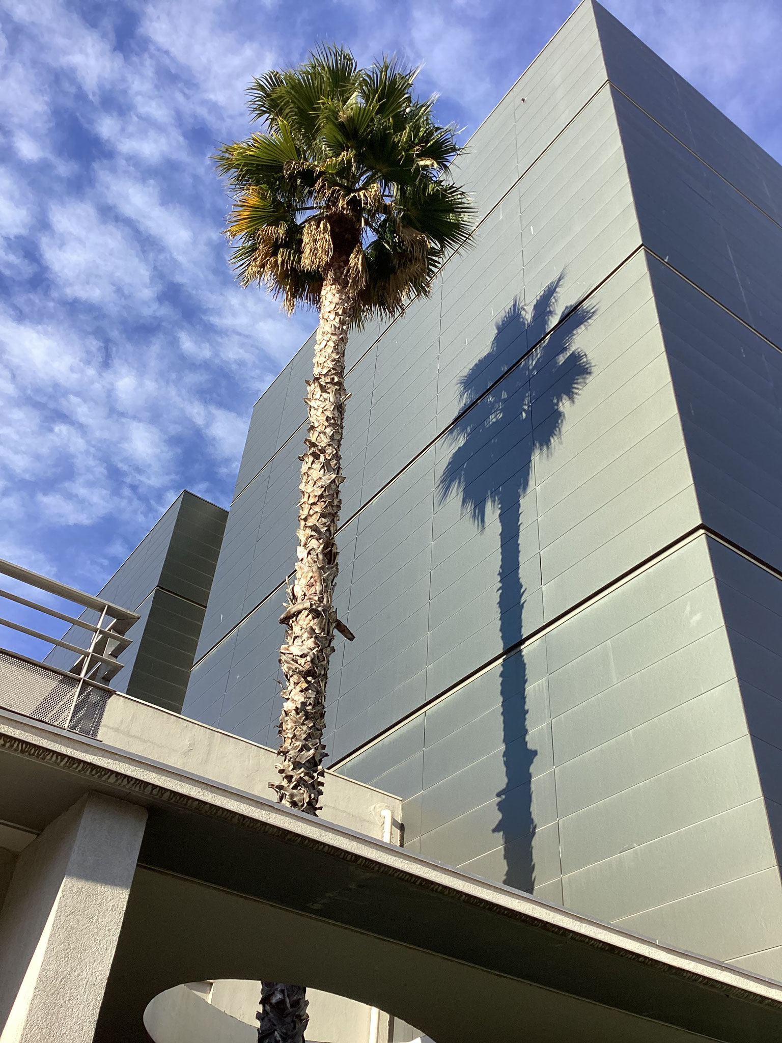 Le bâtiment des Archives départementales des Alpes-Maritimes, à Nice