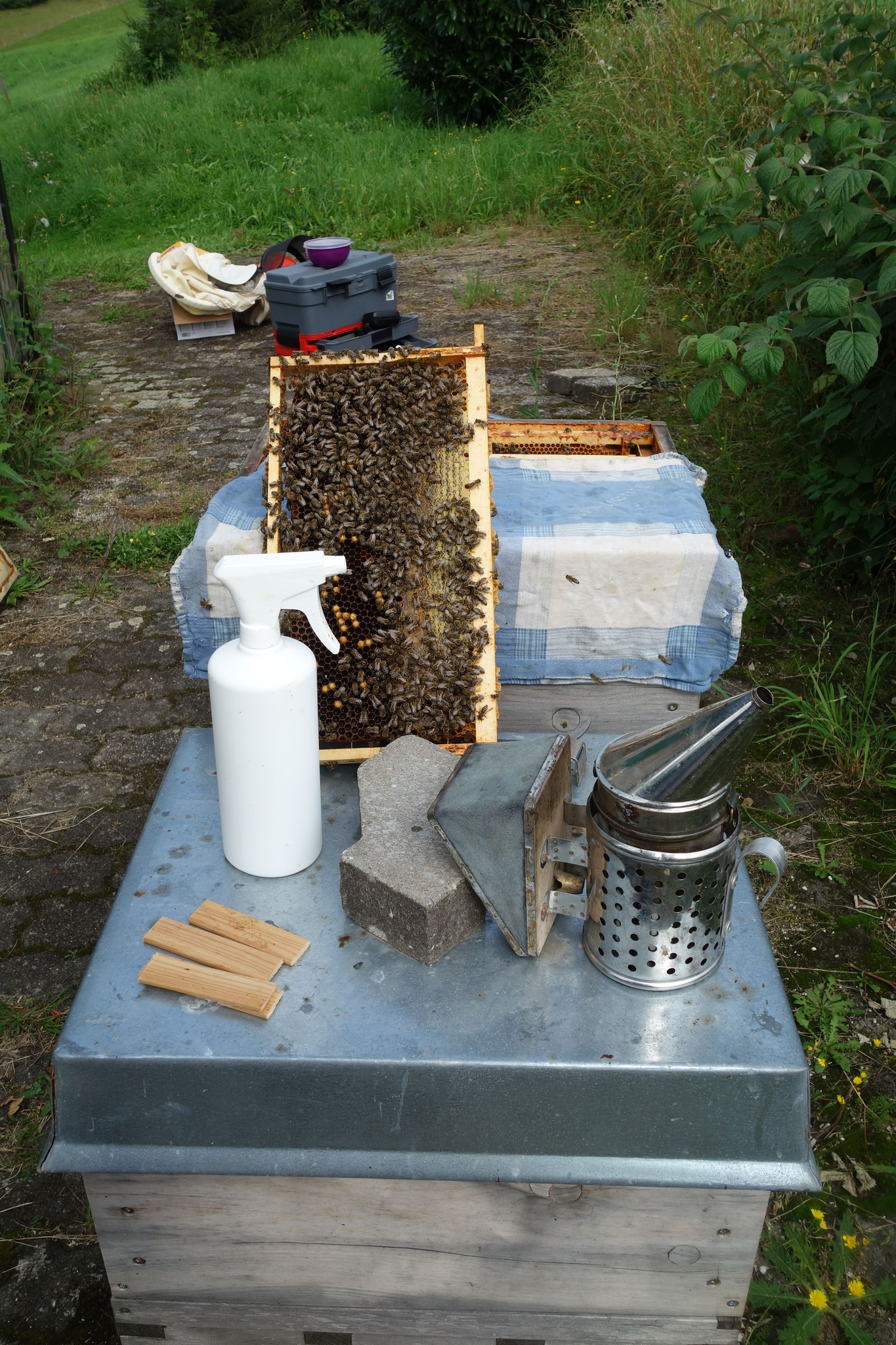 Bild 8: Das Volk wird während der Behandlung mit einem Tuch mit Nelkenöl abgedeckt. So bleiben die Bienen ganz ruhig.