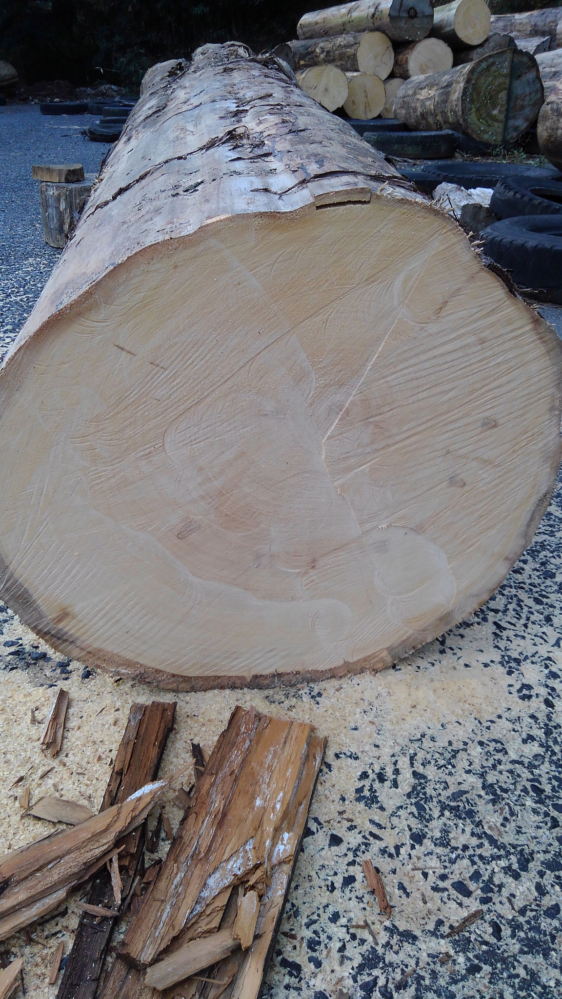 小口もキレイな肌