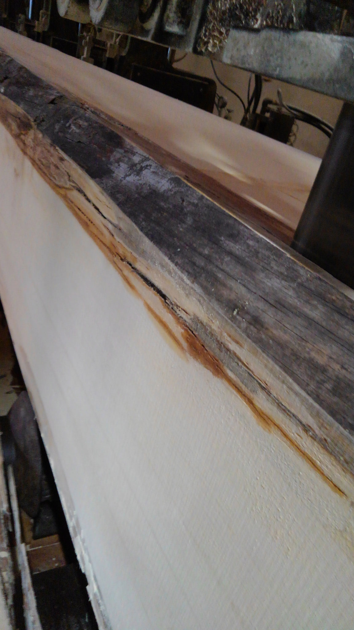 白太はすでに腐っています