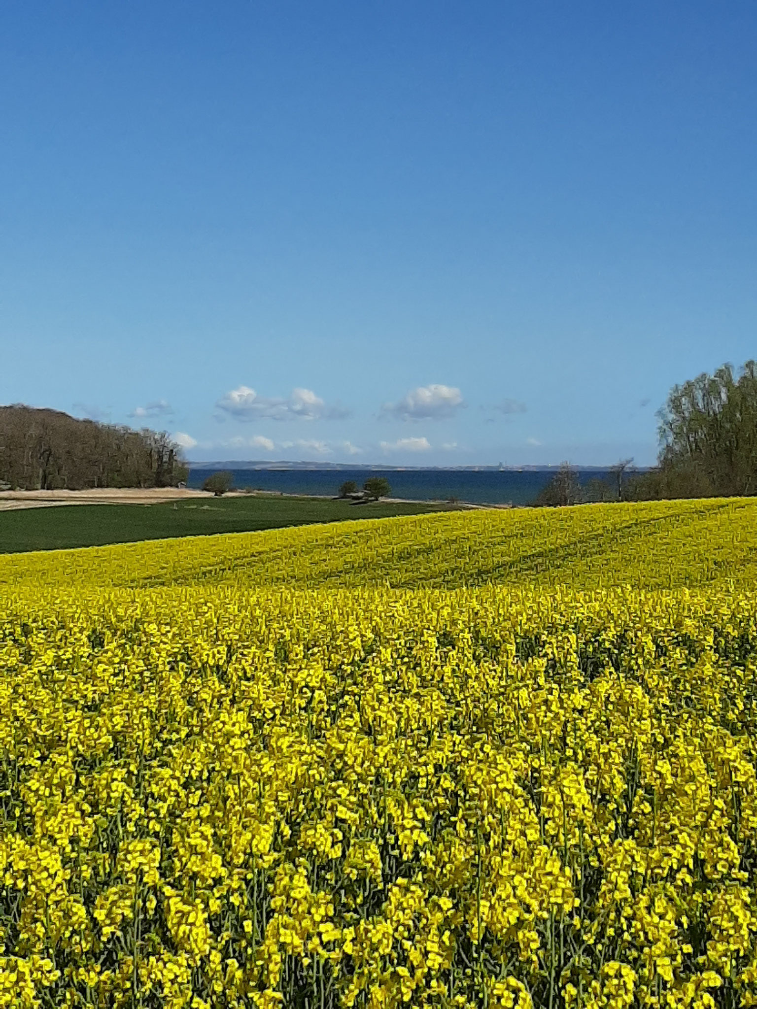  400 m von uns -Blick ans Wasser und nach Dänemark auf der Strecke zu unserem Strand