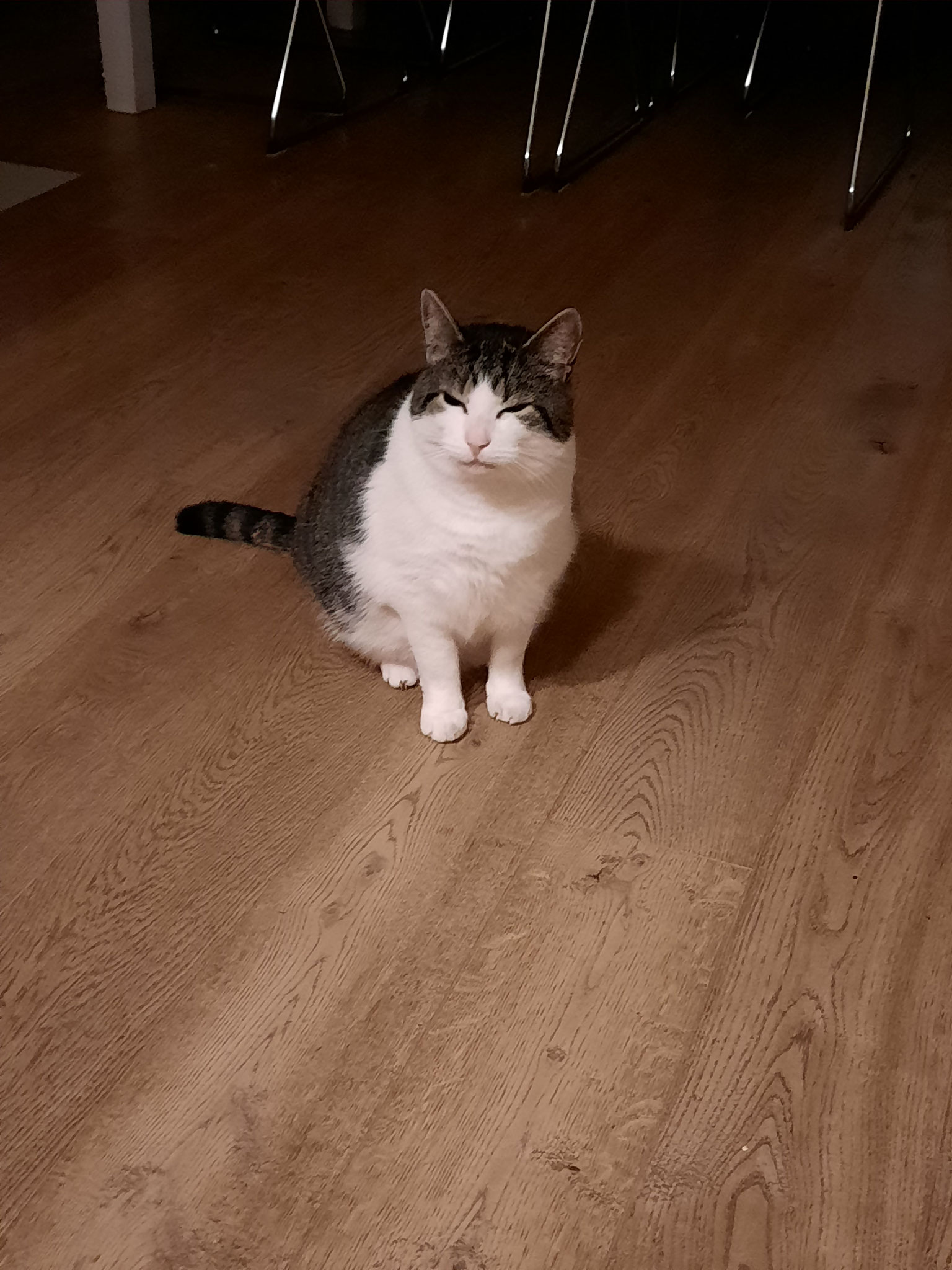 Simon