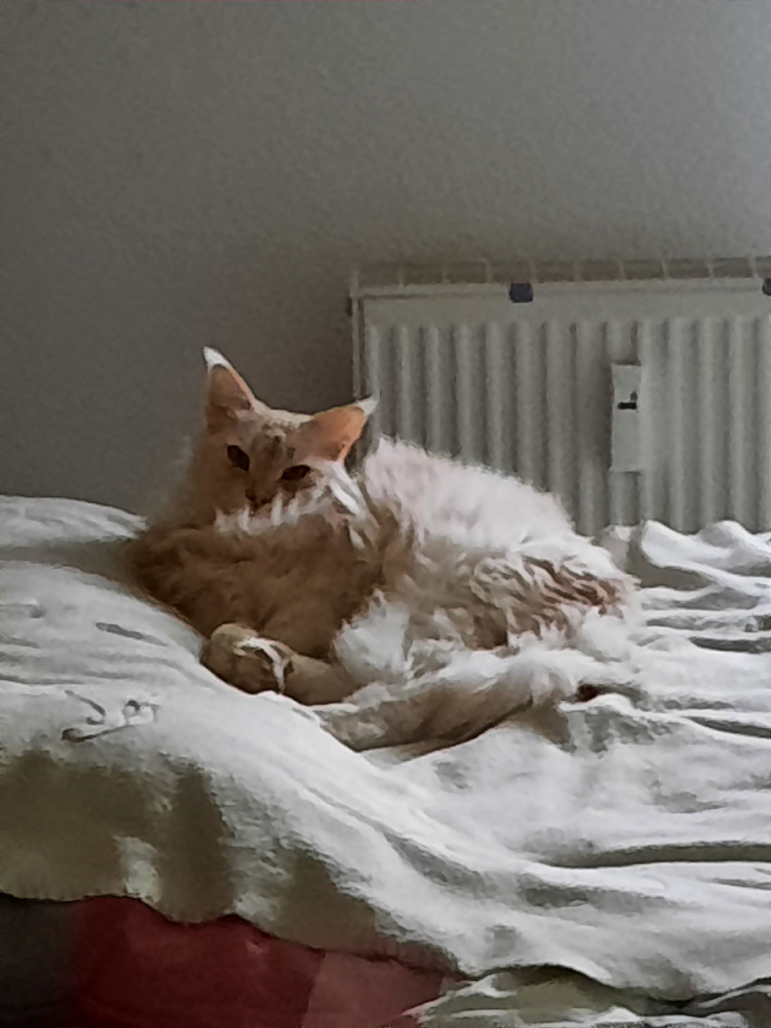 Hanni