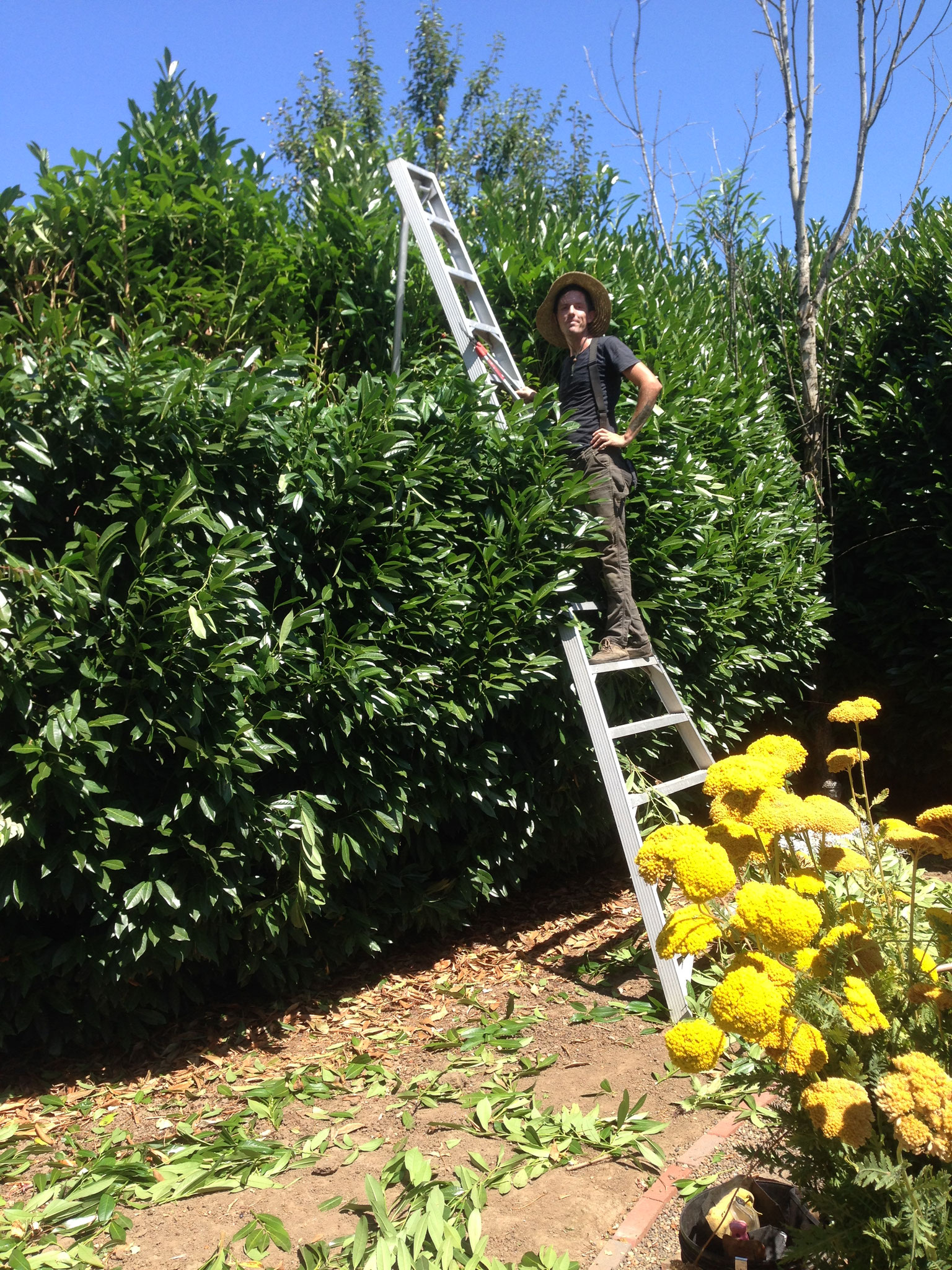 Eco Friendly Landscape Maintenance in Clallam, Sequim, Port Angeles