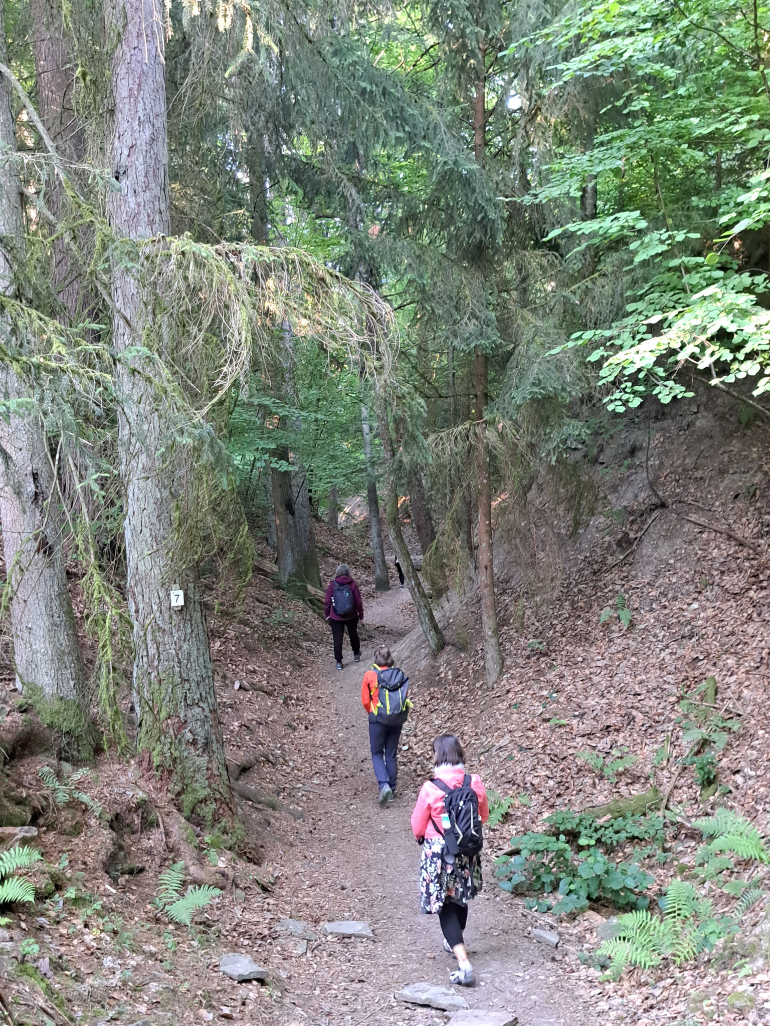 Sommerabschluss Juli 2022 am Märchensee