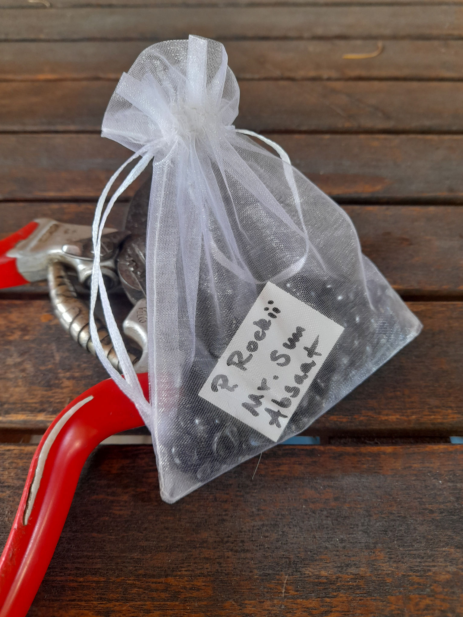 Paeonia Rockii Mr. Sun Absaat - 10 Samen 5 € netto