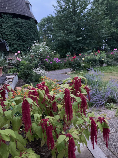 Die jährliche Blumenpracht im Schloss