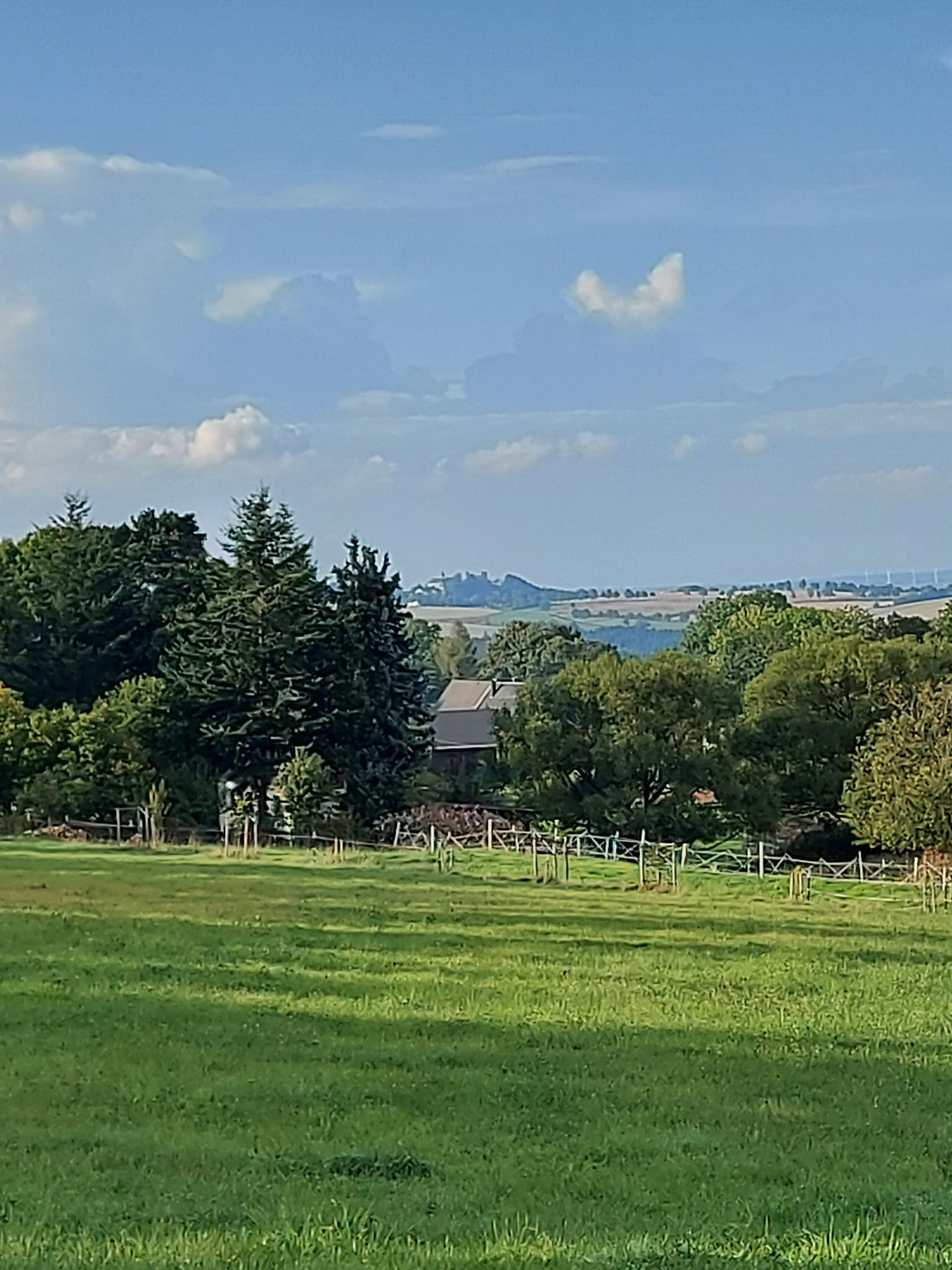 Im Hintergrund Frauenstein mit Burg und Schloss