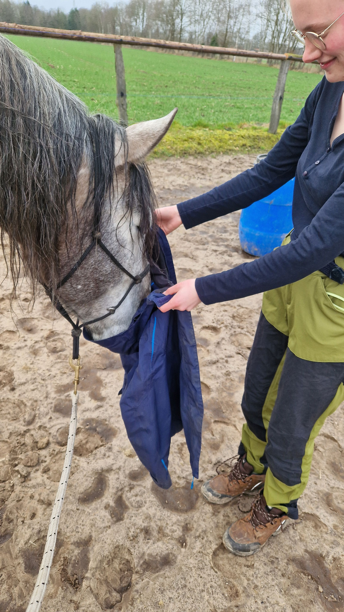 Tamino untersucht knisternde Dinge 