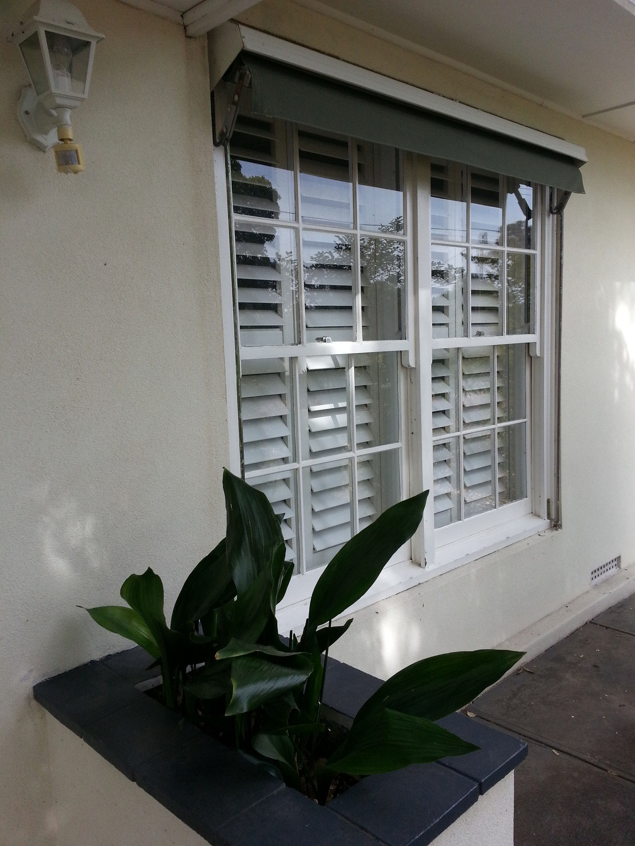 Plantation Shutters Adelaide