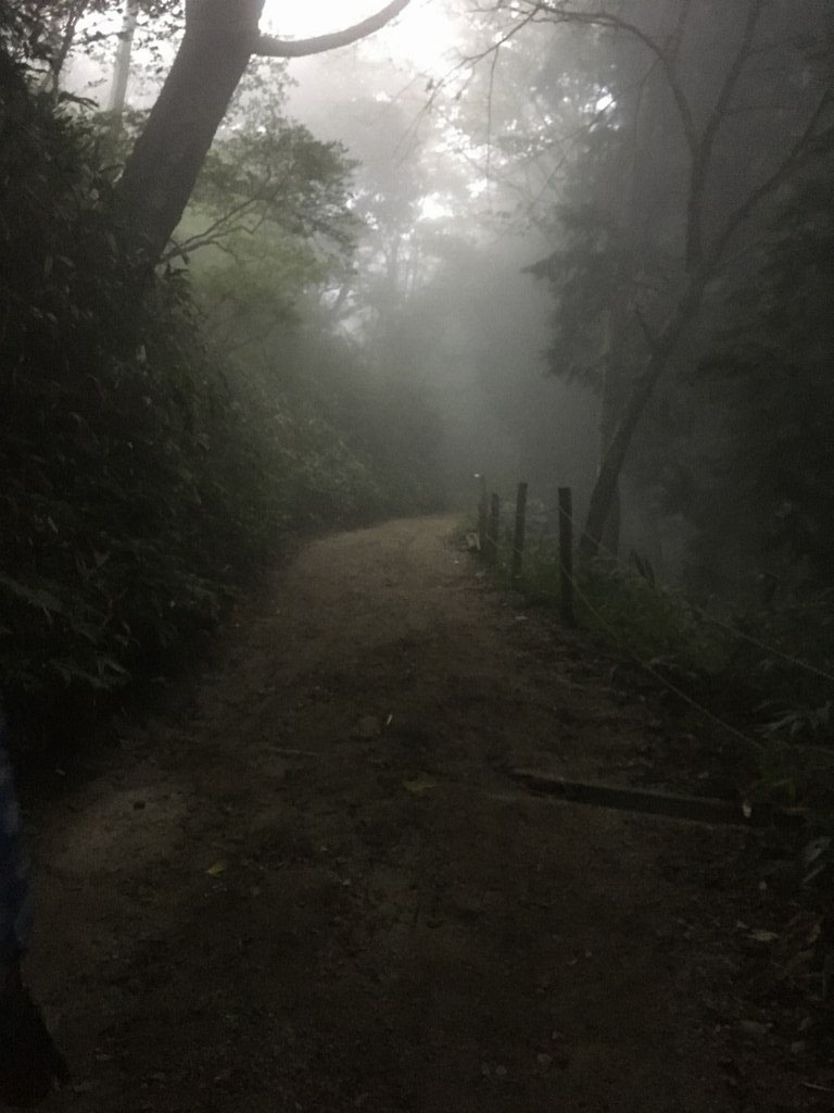 霧に包まれた山道