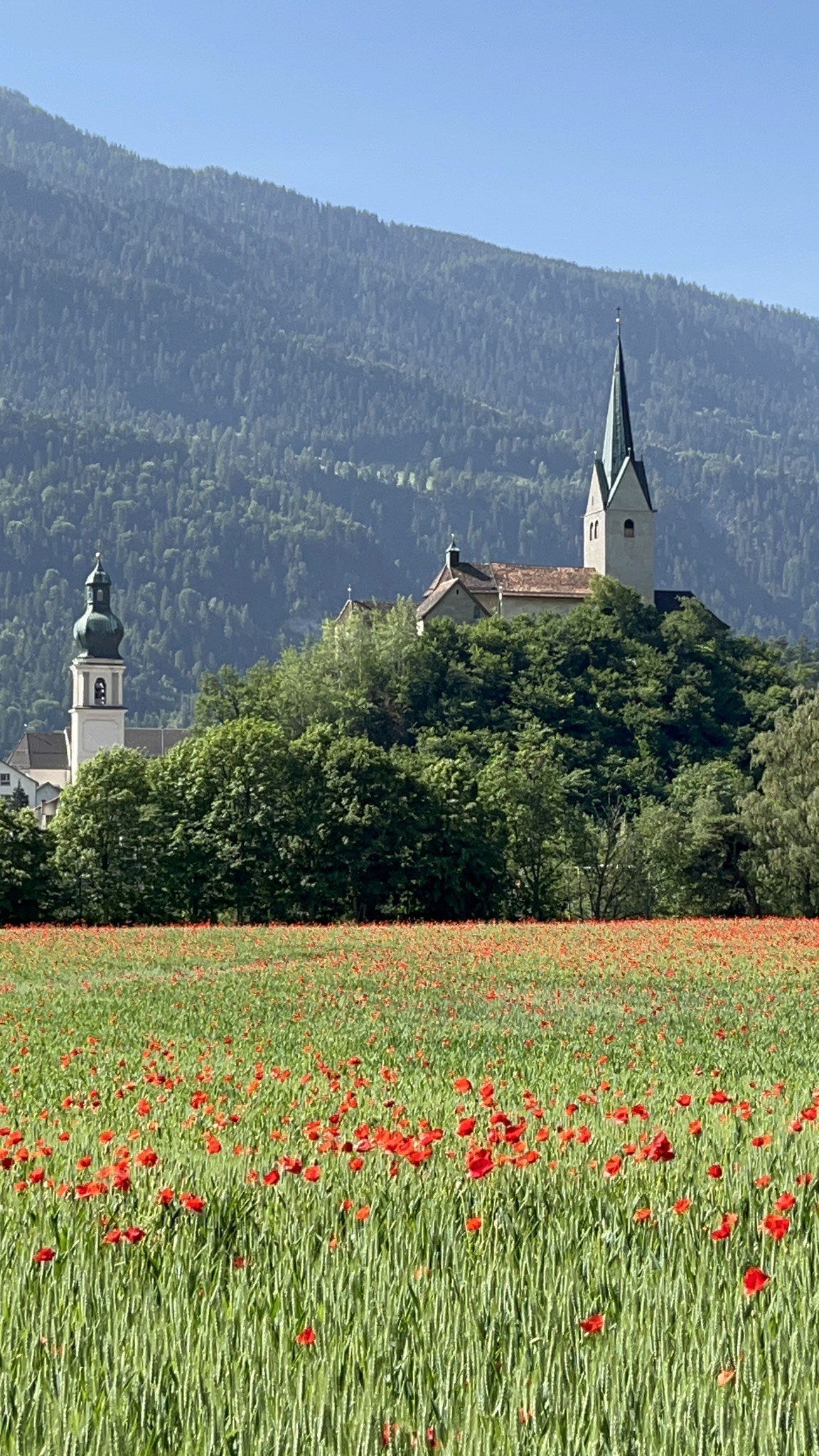 … bei Domat/Ems, wo viel Landwirtschaft betrieben wird.
