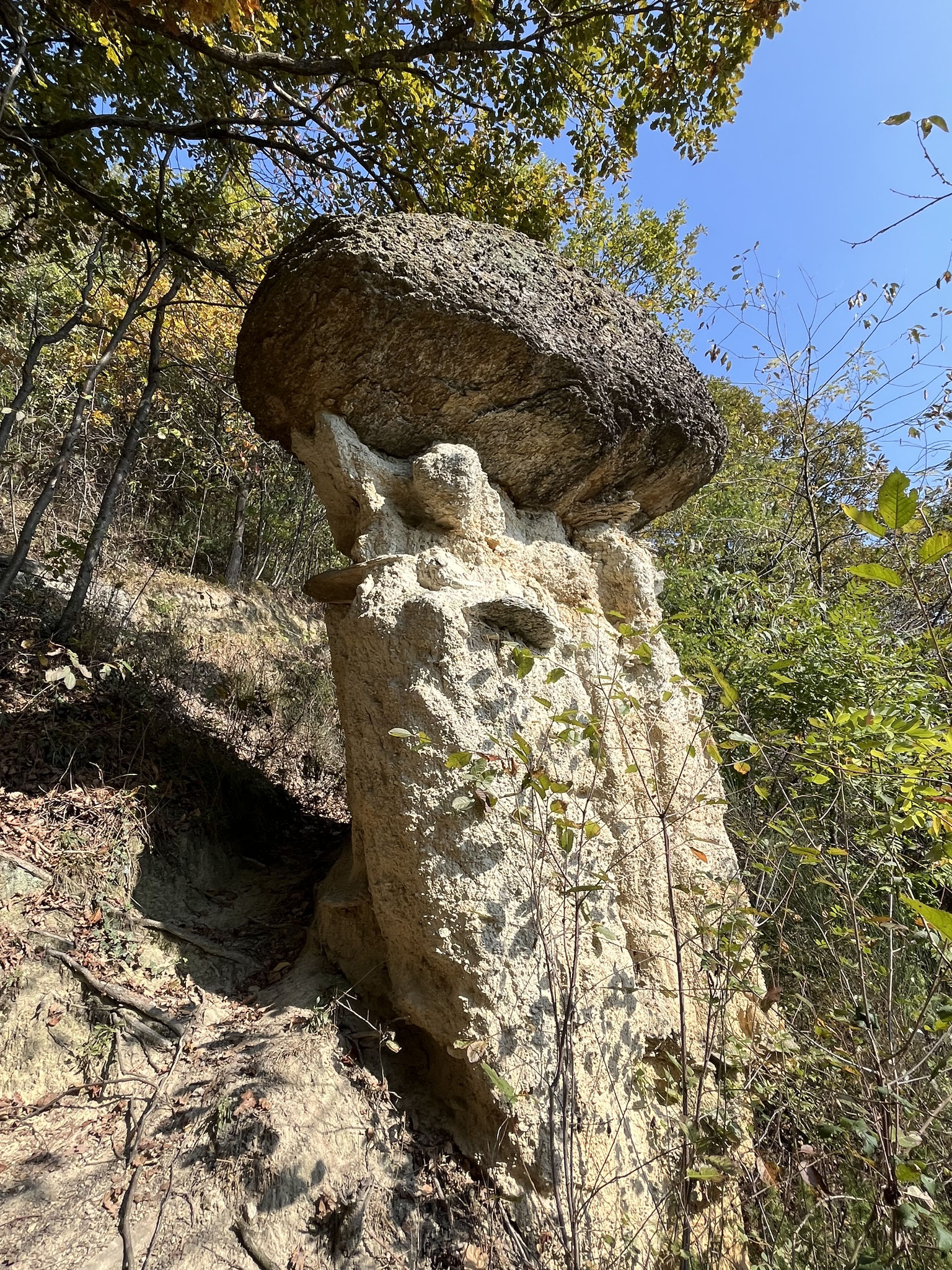 Der Park befindet sich in einem steilen Waldgelände und bietet drei verschiedene Wanderrouten an.