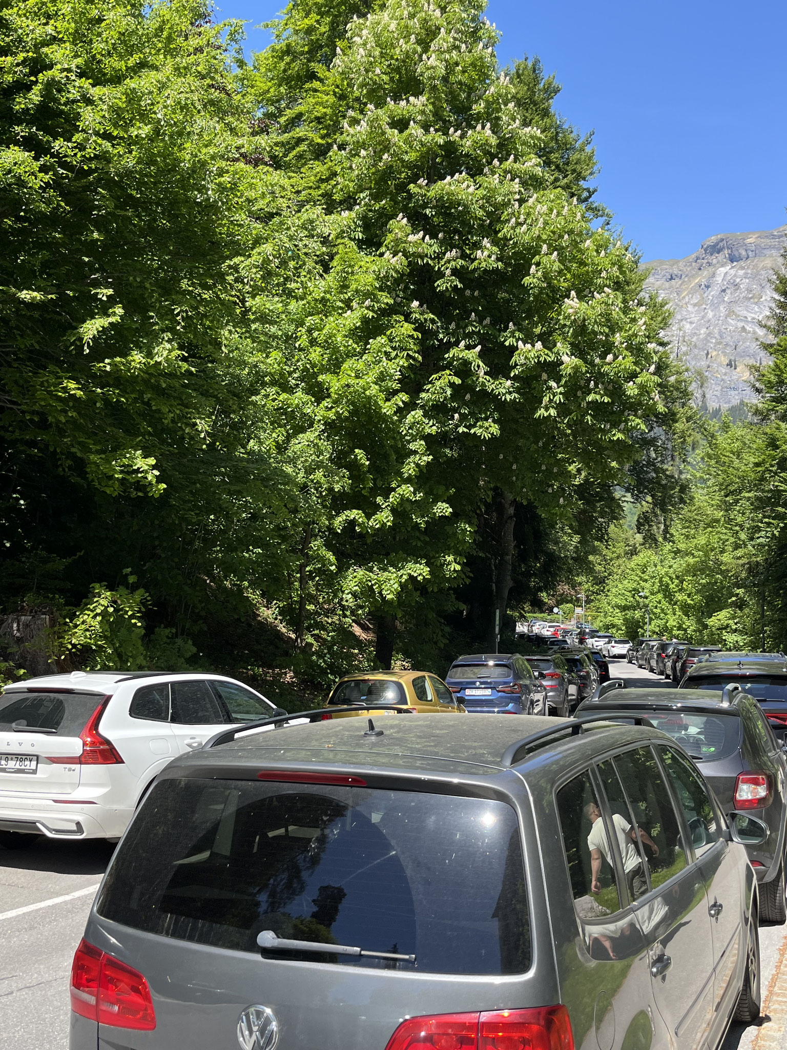 An einem sonnigen Wochenende ist das Bild in Flims Waldhaus immer das gleiche! Alles verstopft mit …