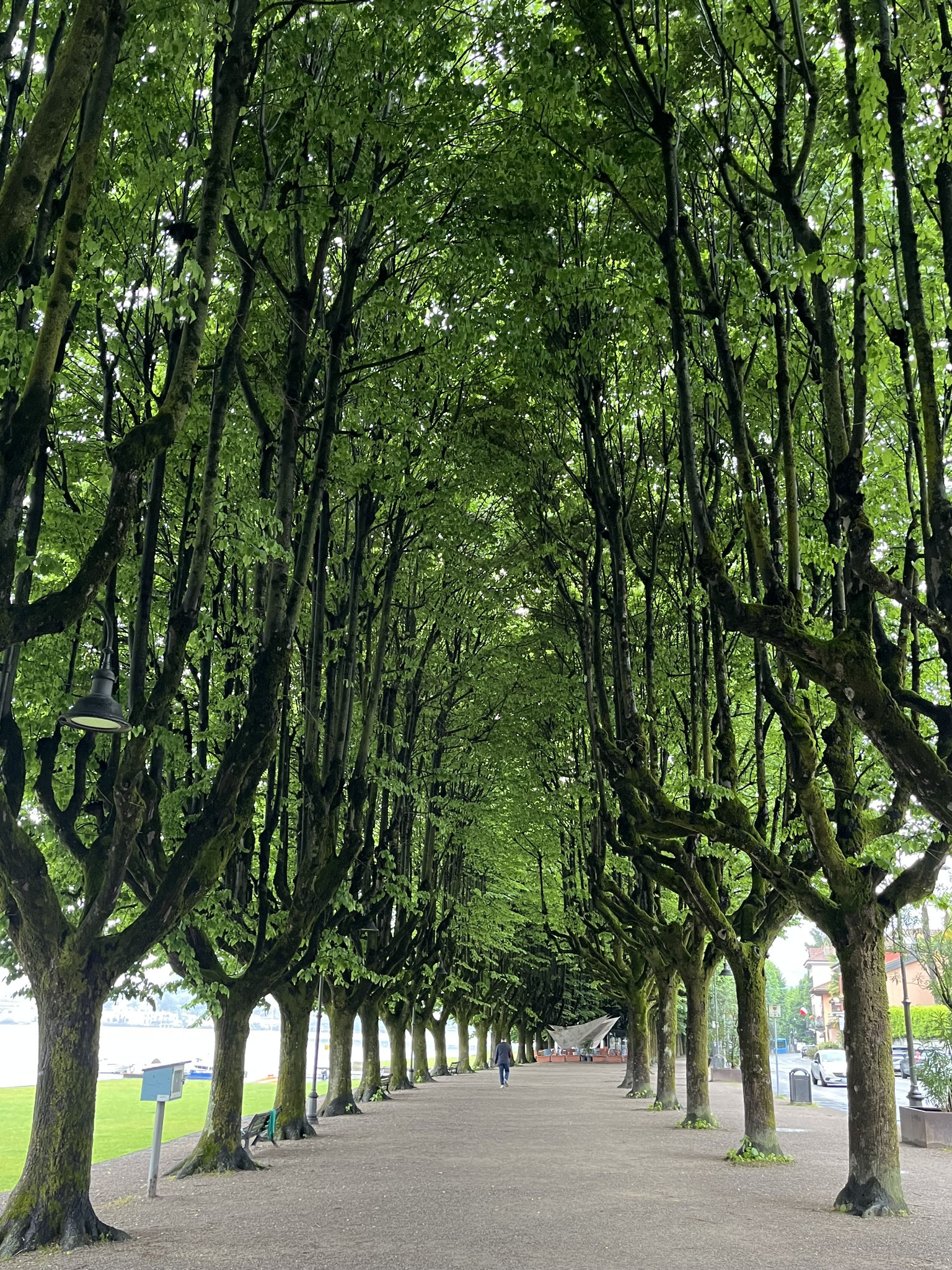 Ein kleines Dorf mit vielen engen Gassen und einer sehenswerten Allee am Hafen.