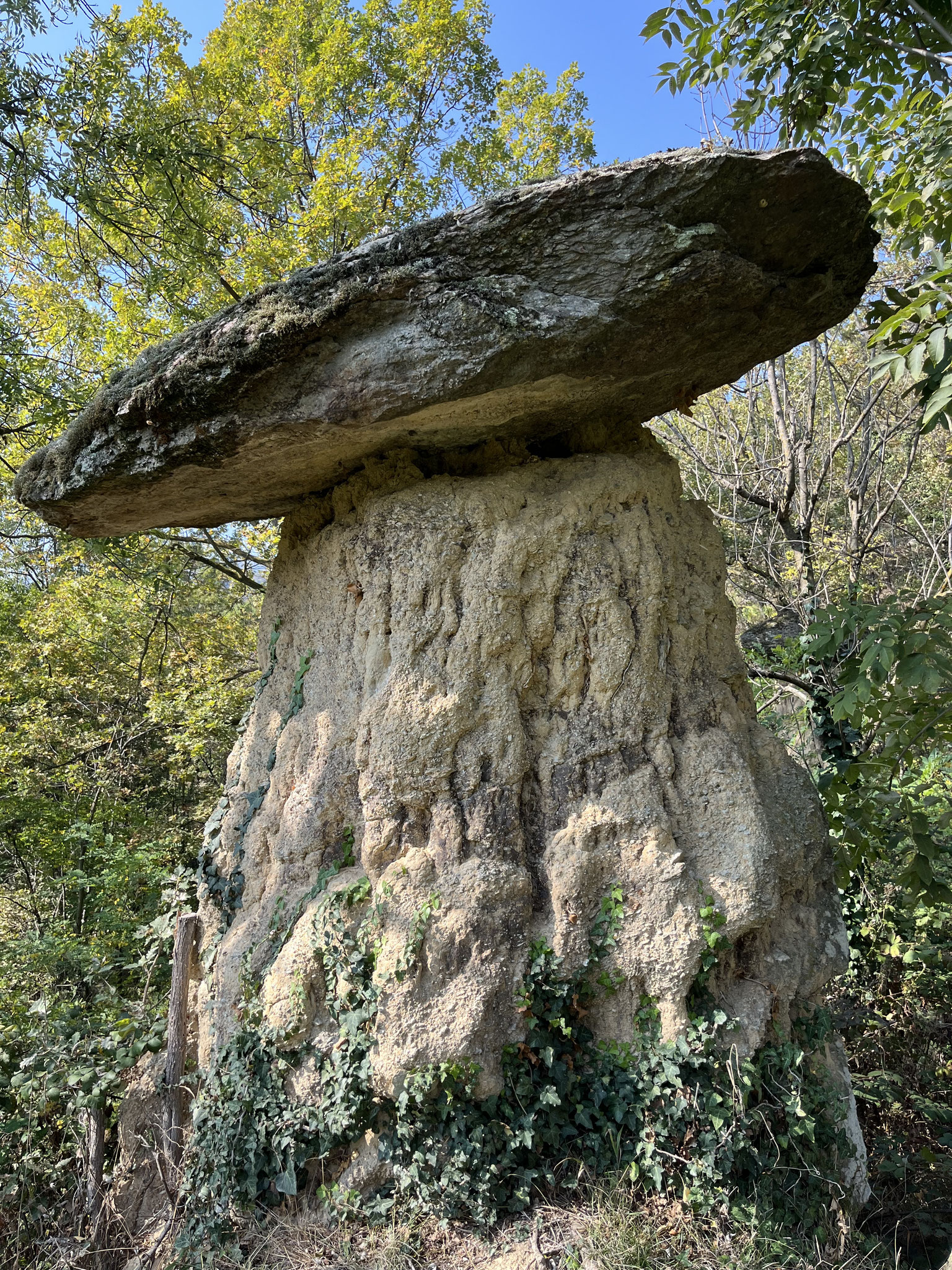 Die „Pilze“ sind überall anzutreffen und bestehen aus Sandstein/Lehm(Ständer) und aus Gneis(Hut).