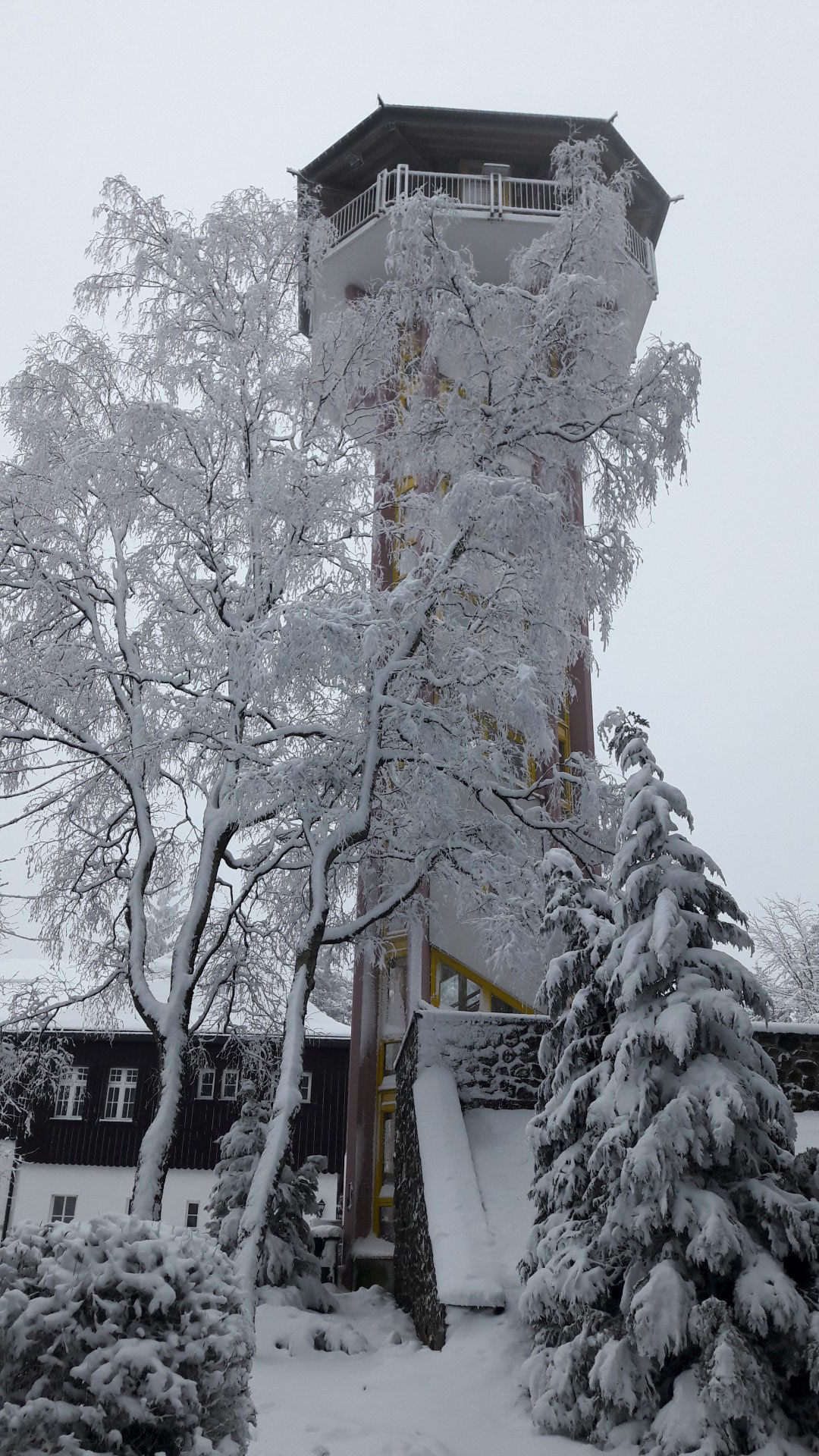 Baum mit Aussichtsturm