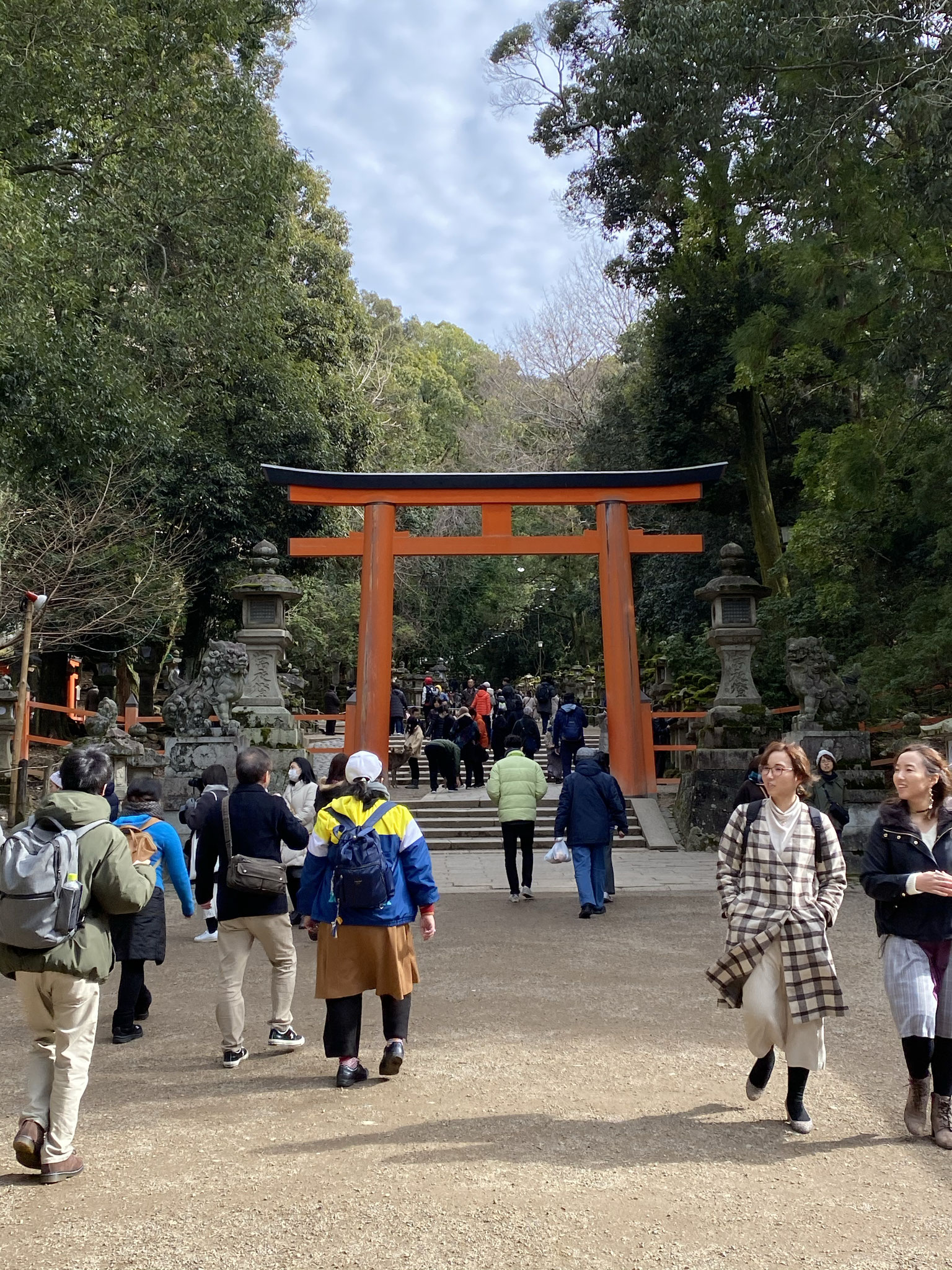 いよいよ春日大社に。途中、鹿さんたちと　大いに戯れ(^^♪