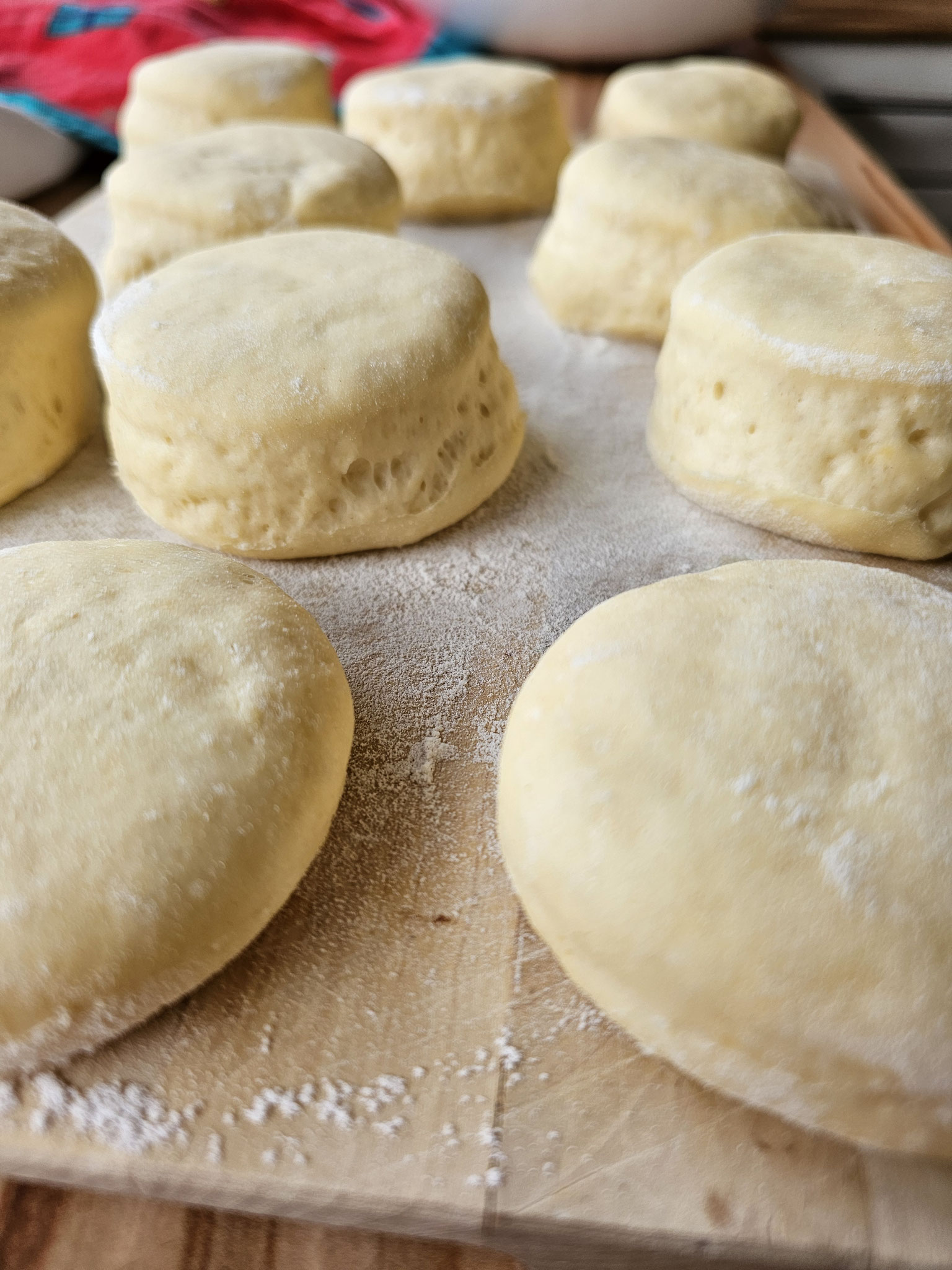geformte schwäbische Fastnachtskrapfen nach dem Gehen und vor dem Ausbacken