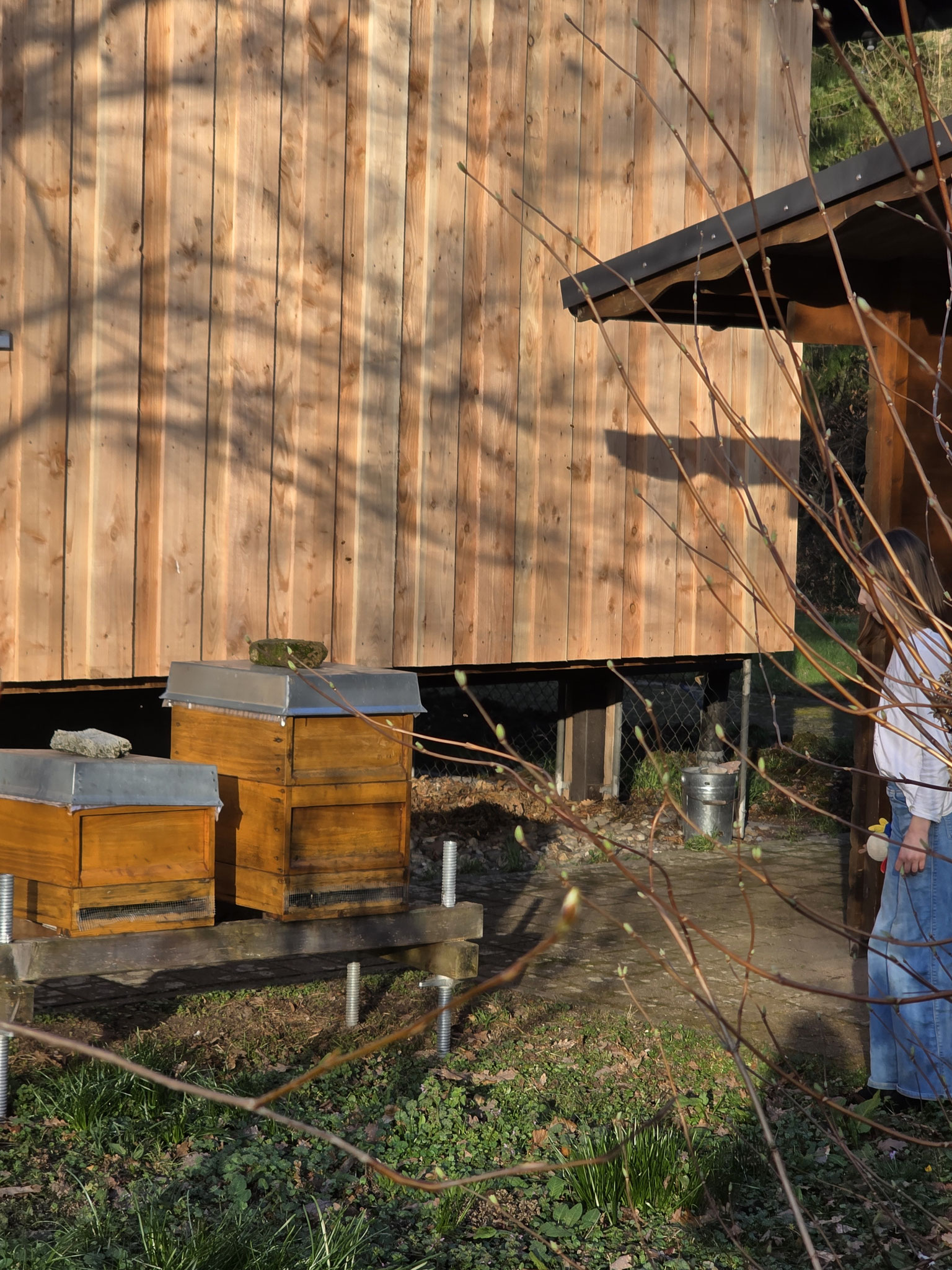 Zwei Bienenstöcke vor einem Holzhaus im Garten - mein Start in die eigene Imkerei mit zwei Bienenvölkern