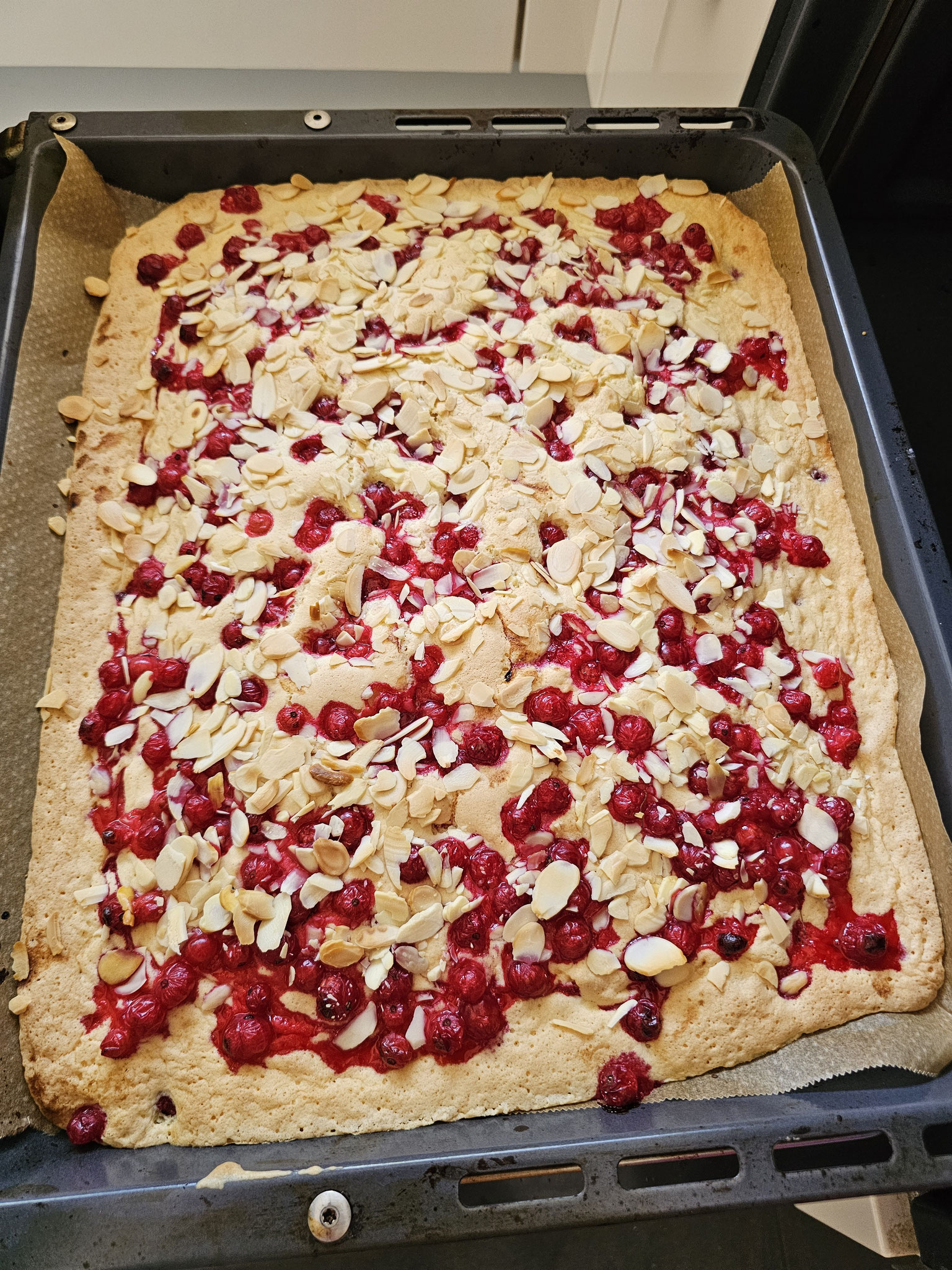 Fertig gebackkener Johannisbeer Blechkuchen