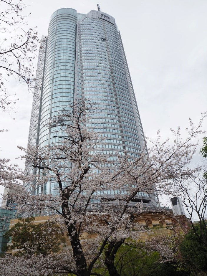【毛利庭園】現代建築と桜が織りなす絶妙な構図
