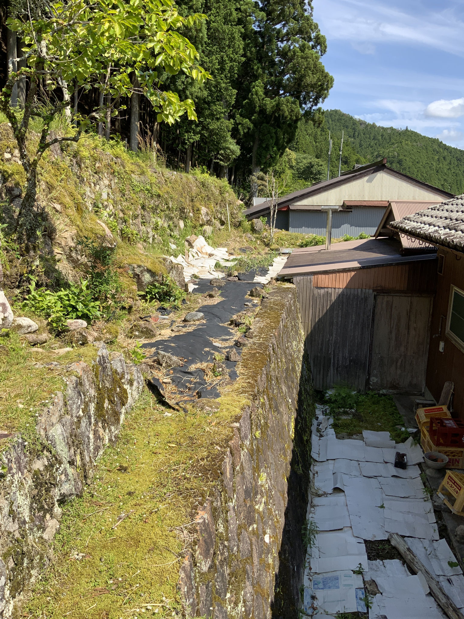 detached 熊野市五郷町