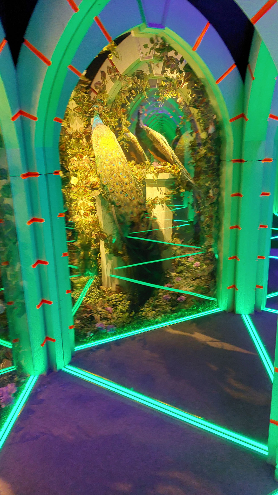 Mirror Maze Global Mall Site de desfaw