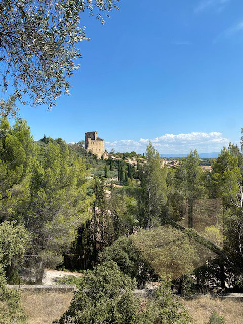 Le château vu de la terrasse de la maison