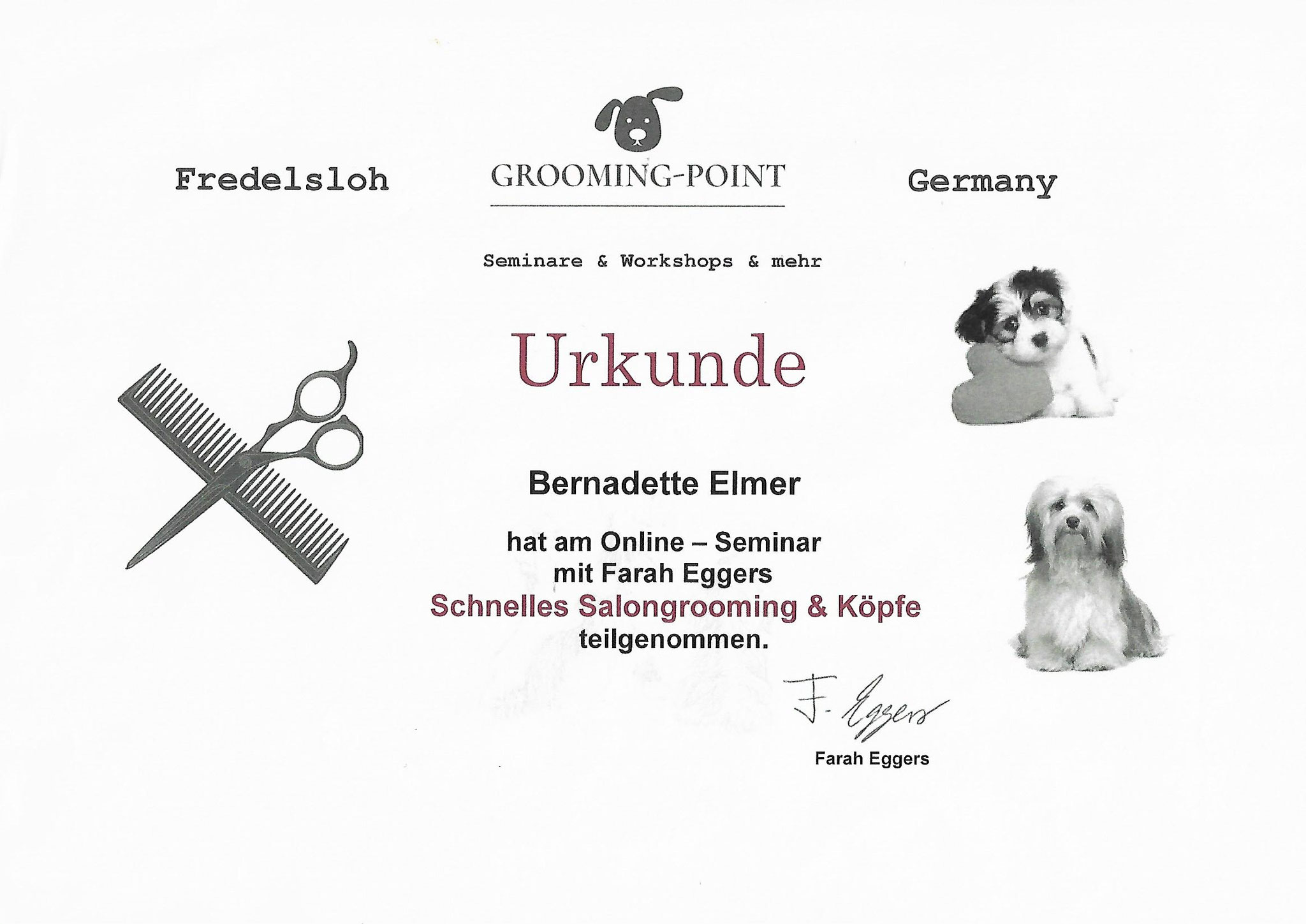 Bernadette Ausbildungen - Hundeparadies Elmer Hundesalon, Hundepflege ...