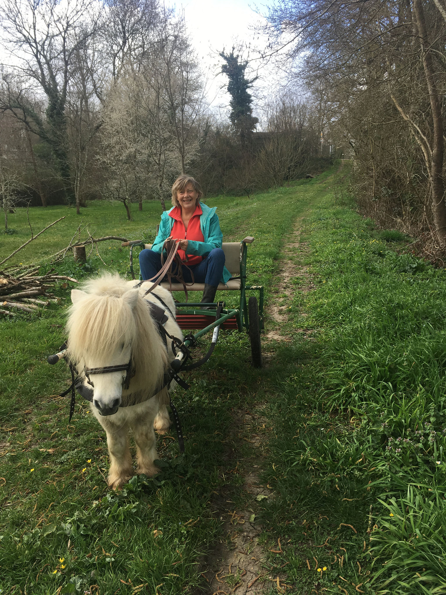 Flash et Laurence en attelage