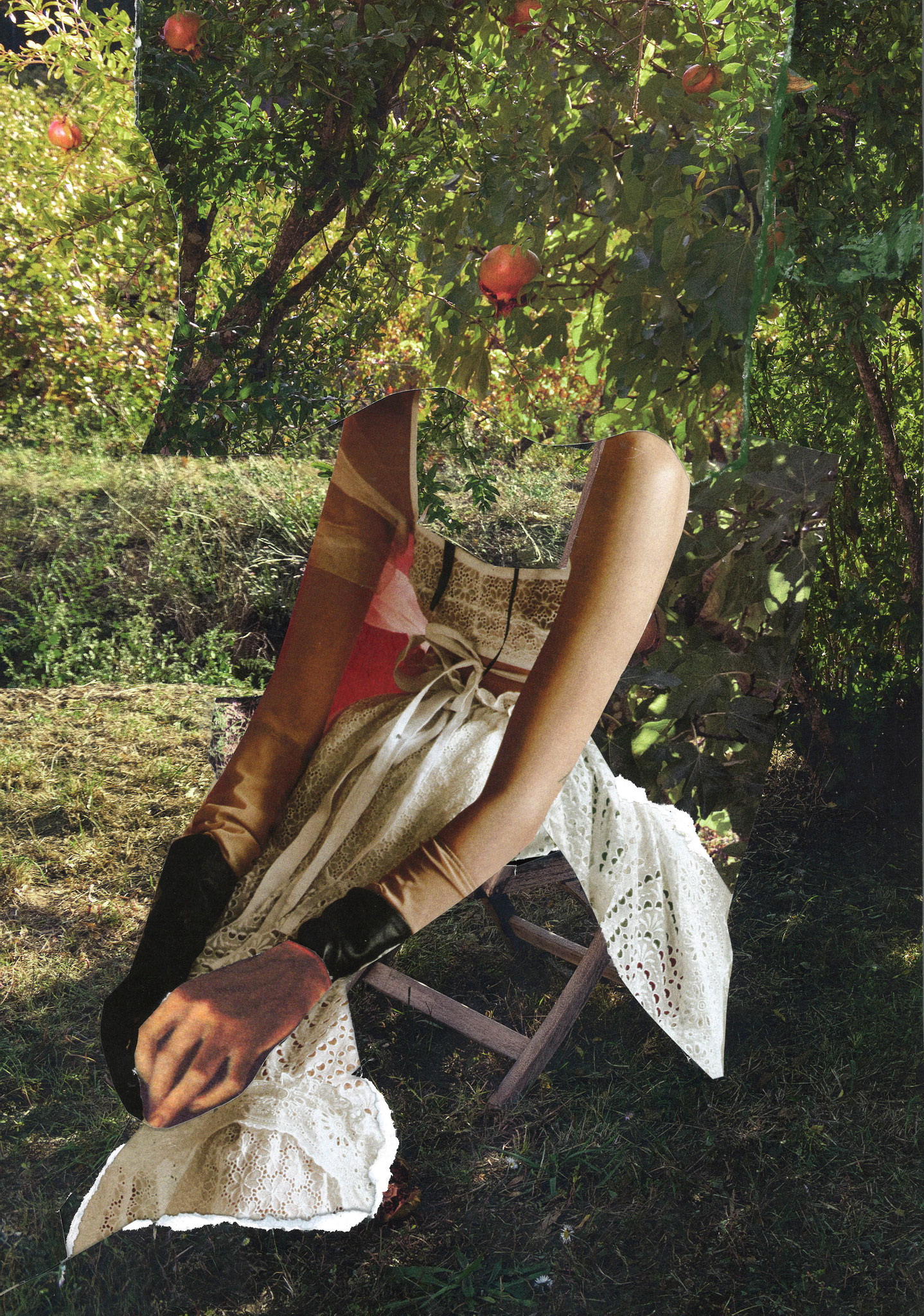 Collage by deborah harris