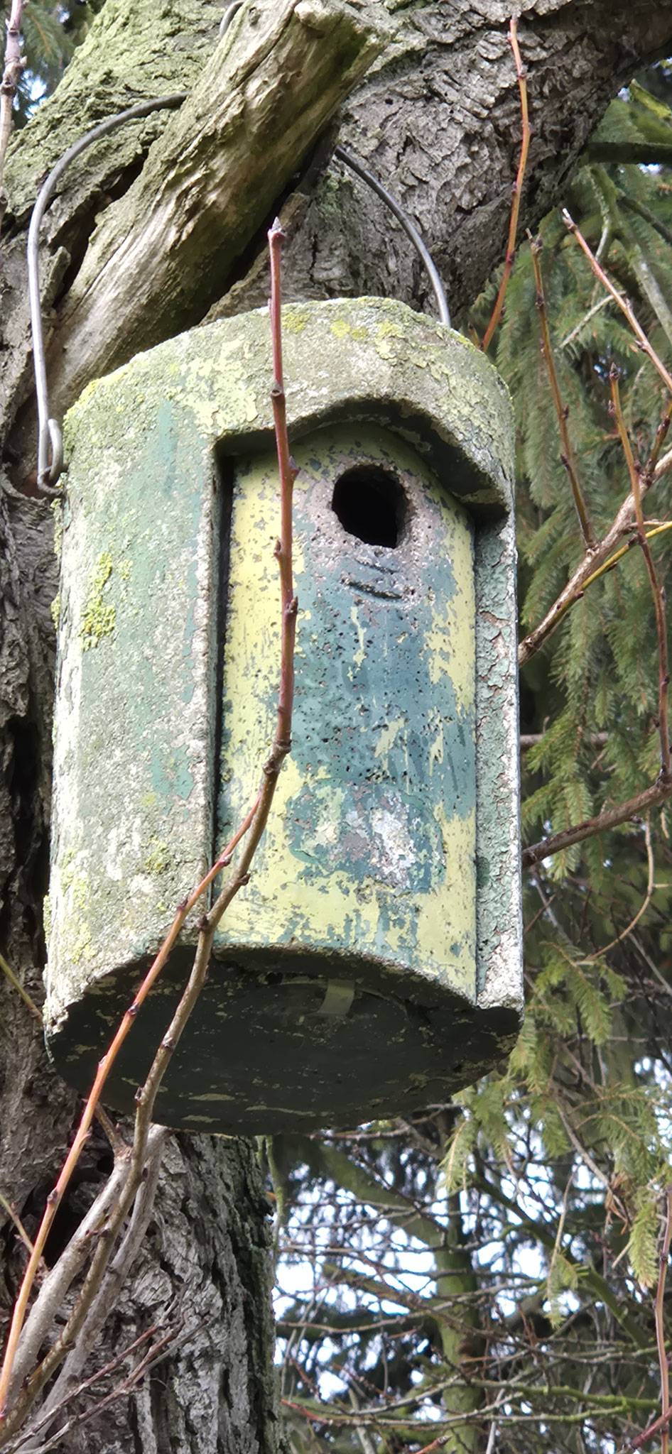 Meisenkasten mit Patina