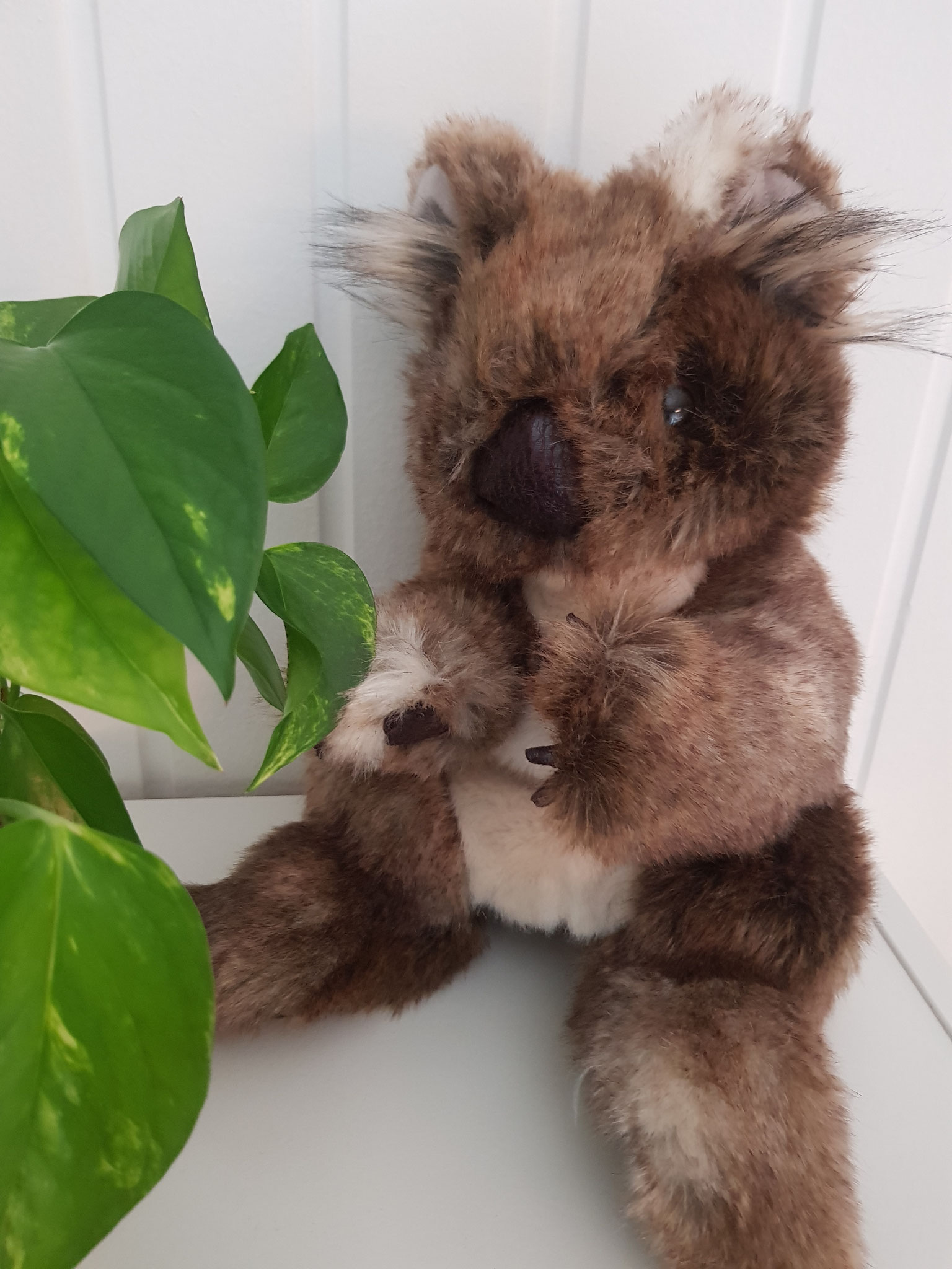 Lerngruppe "Koala" Jahrgang 4 - Leiterin Frau Paschke - Gruppentier Konrad, der Koala