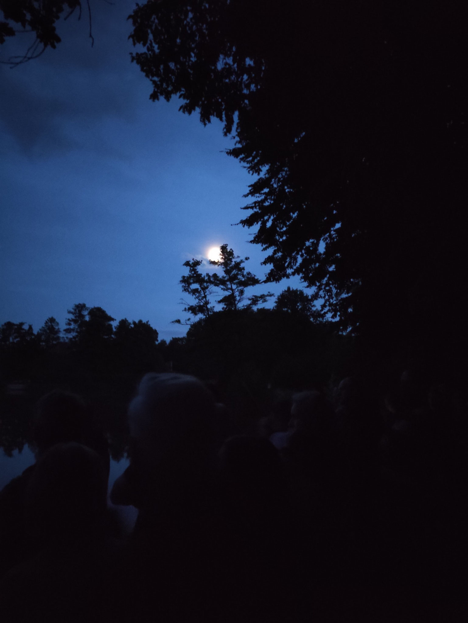 Mondaufgang am Panoramaweg Foto: Miriam Kodek 