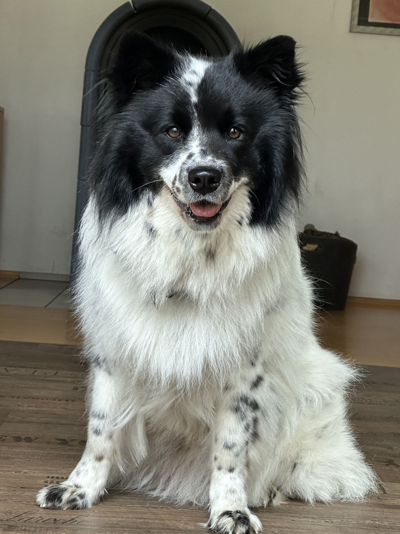 Bonnie