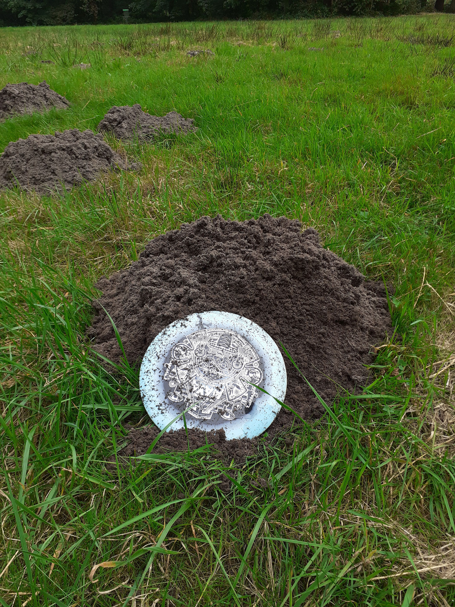 Anders als geplant: Scheibe an Maulwurfshaufen, Bremerhaven