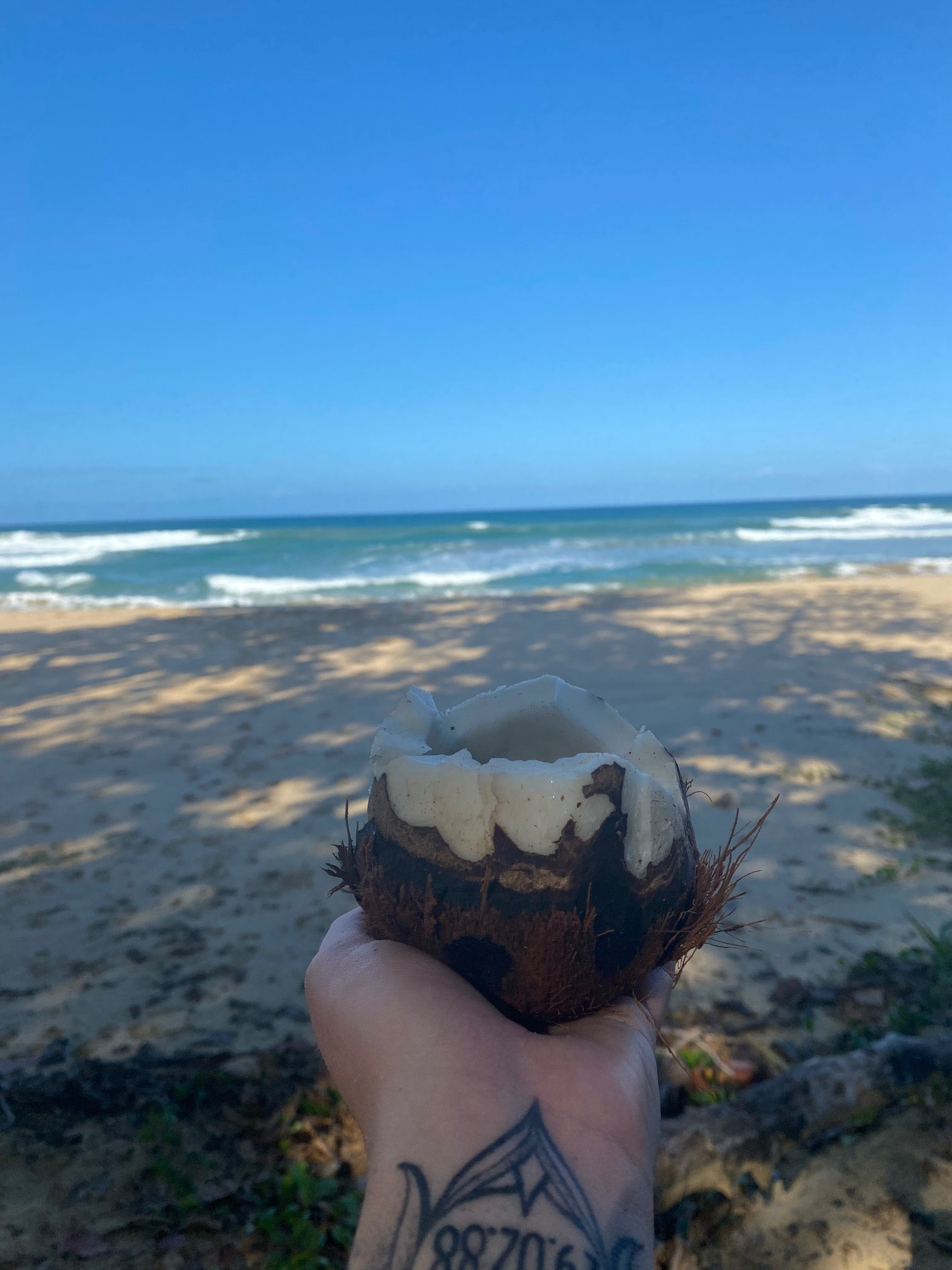 Wizard Beach