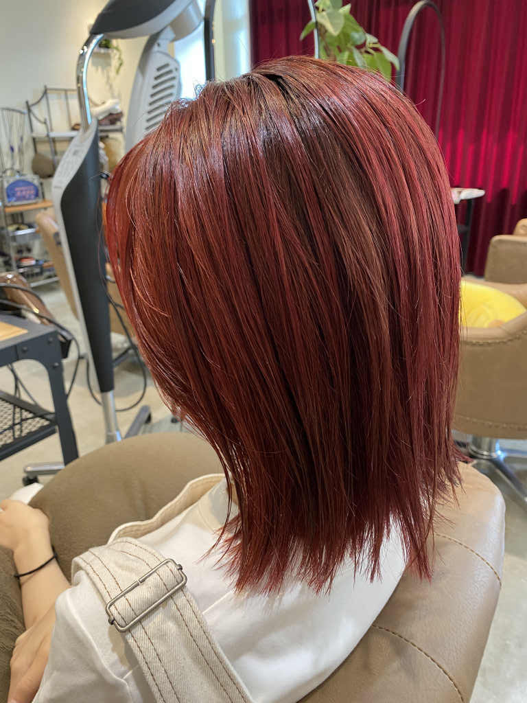 レッド 明星 ヘアカタログ 明星ヘアカタログ 1984