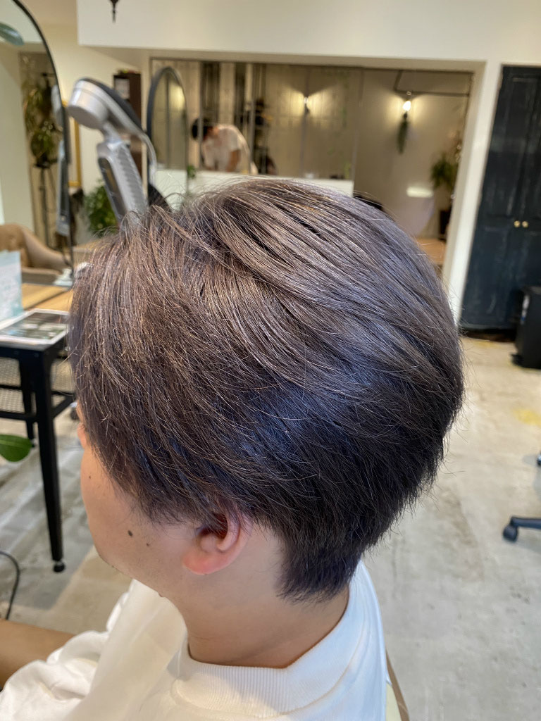 レッド 明星 ヘアカタログ 明星ヘアカタログ 83夏の号