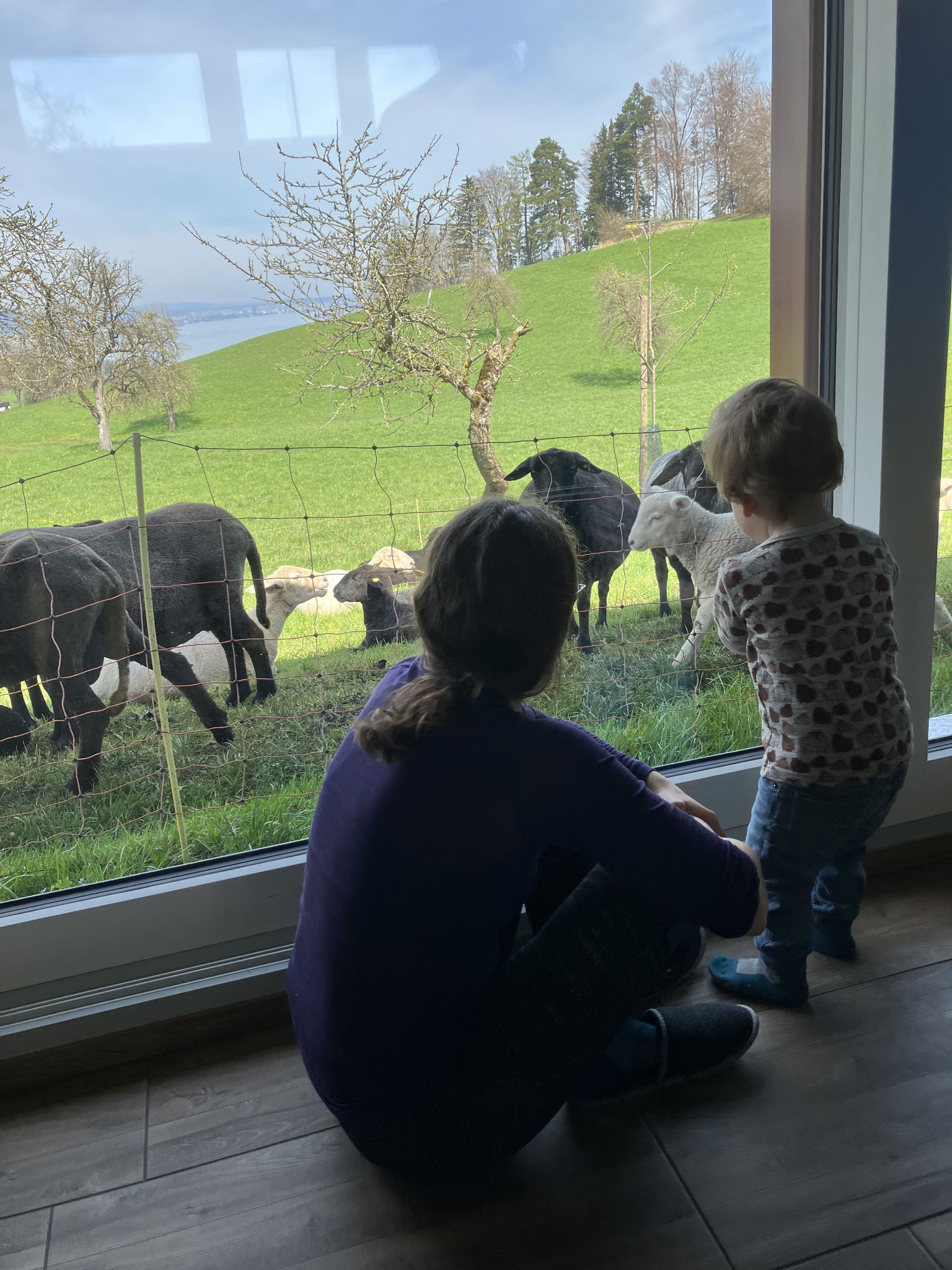 Meine Schwester und mein Neffe am Schafe bestaunen.