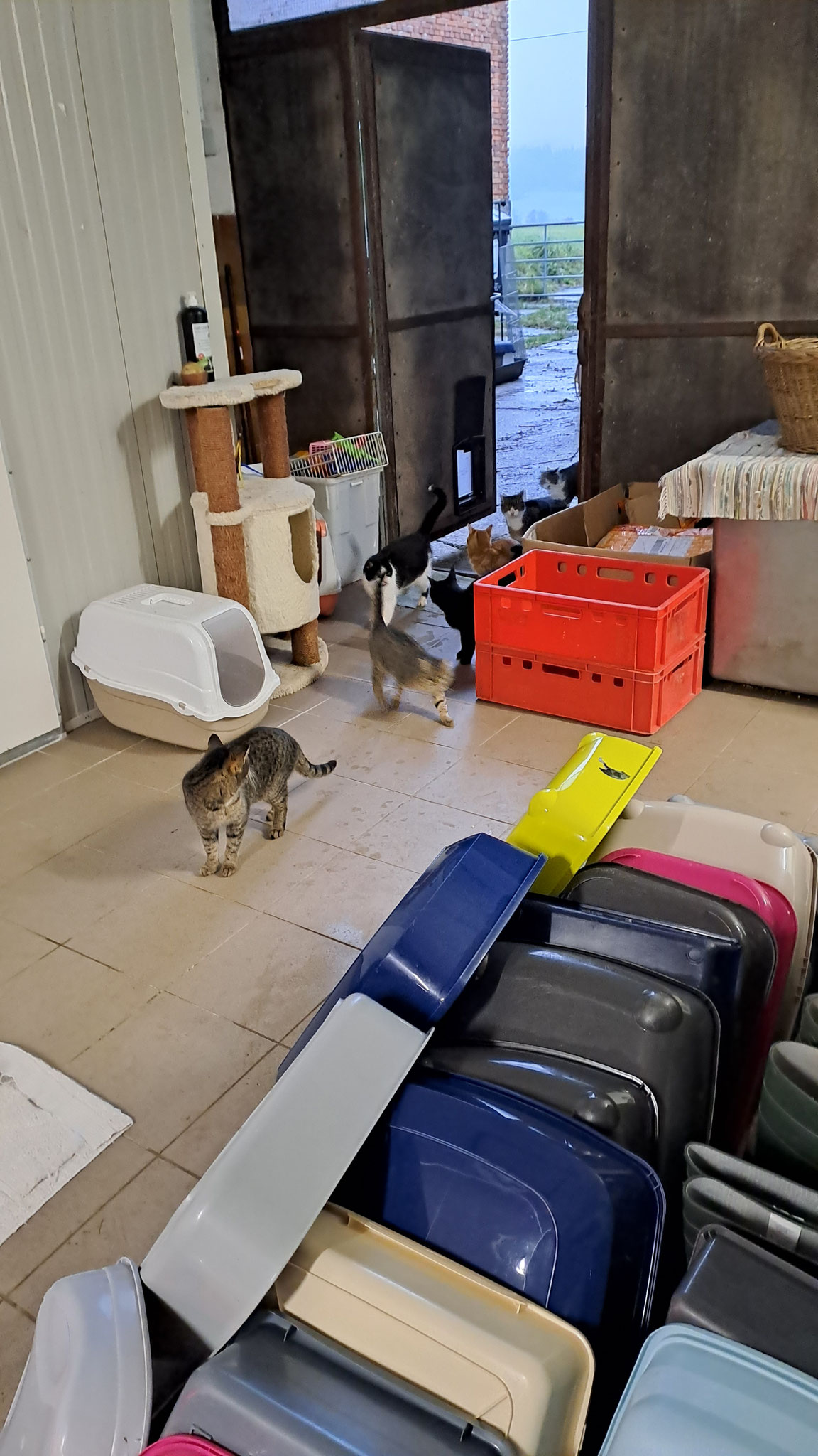 Lieber Mensch, viele von uns finden bereits Vertrauen für die Zivilisation! 