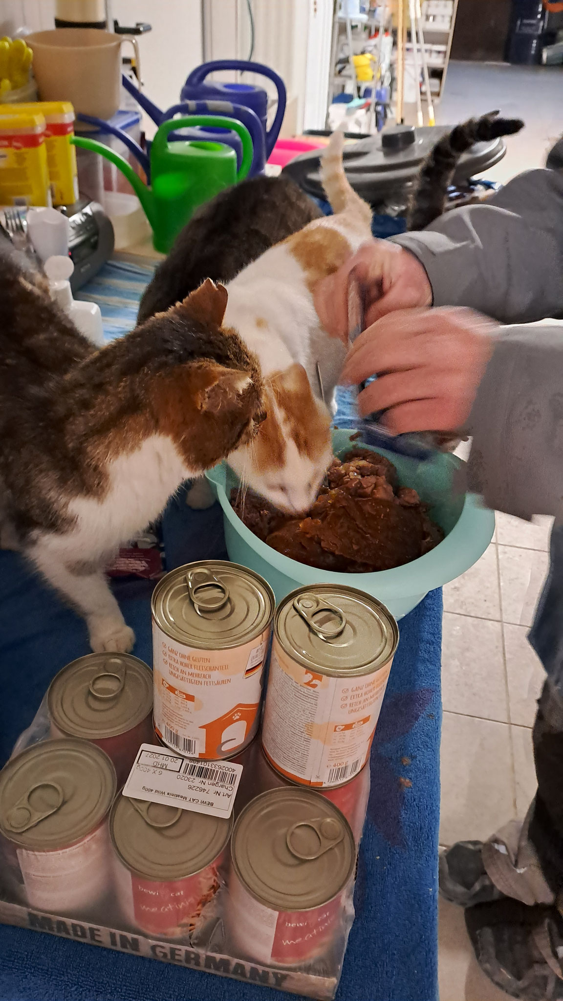 Und sind schon so mutig, an erster Stelle sich zu begeben. Vertrauen ist ja gut...