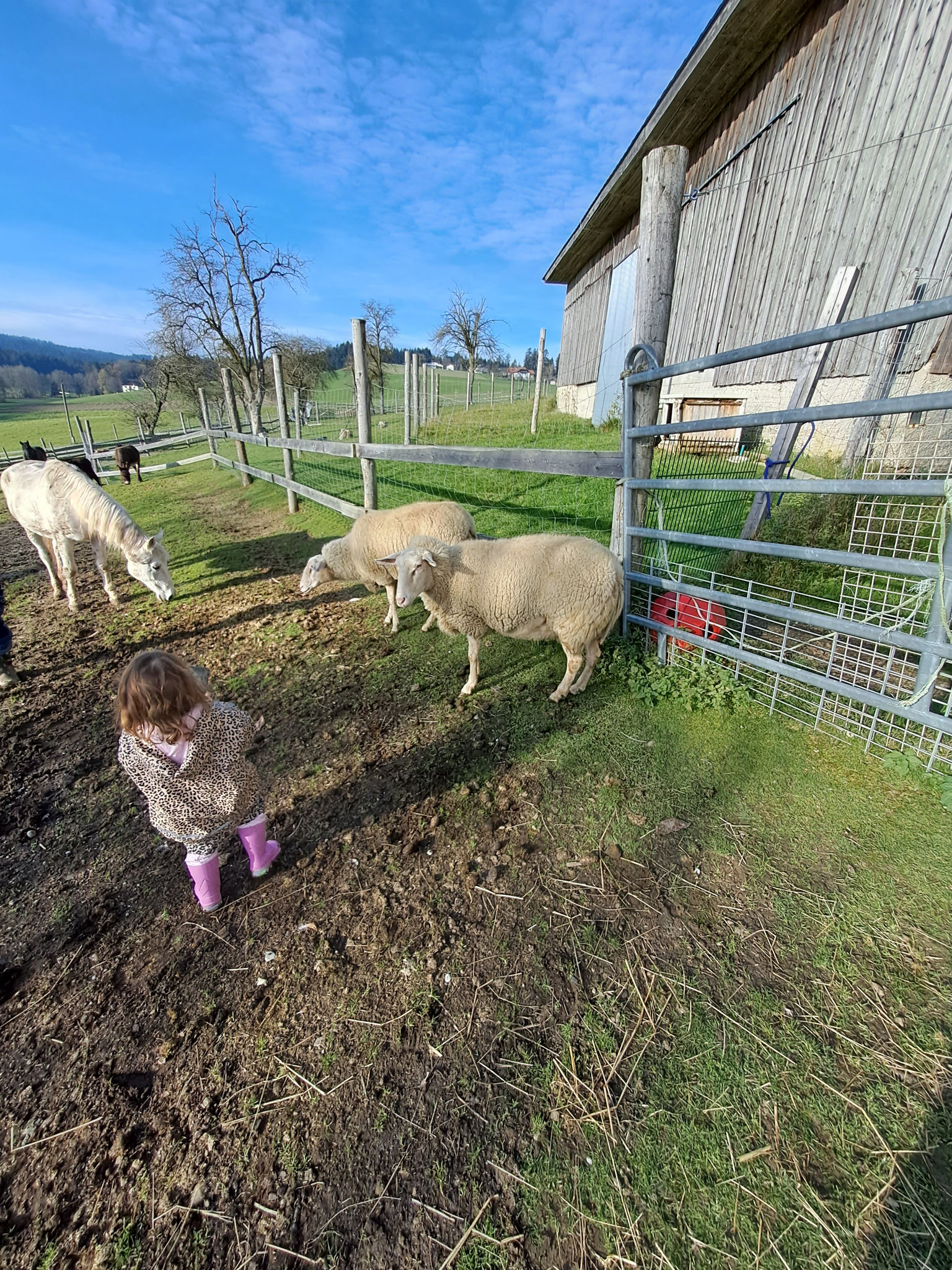 Uii, unsere kleine Fee - Menschenkind Larissa vom Hof besucht uns. 