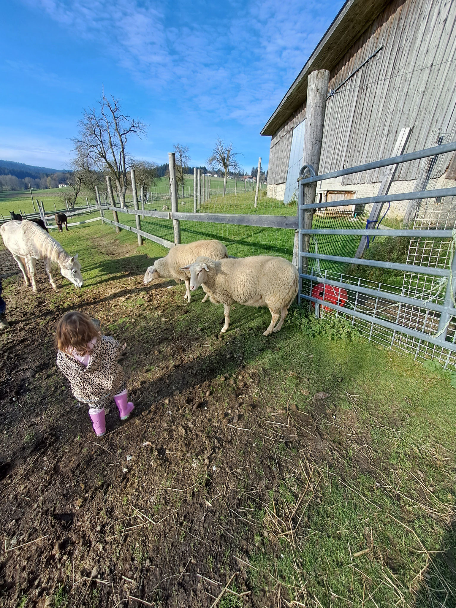 Uii, unsere kleine Fee - Menschenkind Larissa vom Hof besucht uns. 