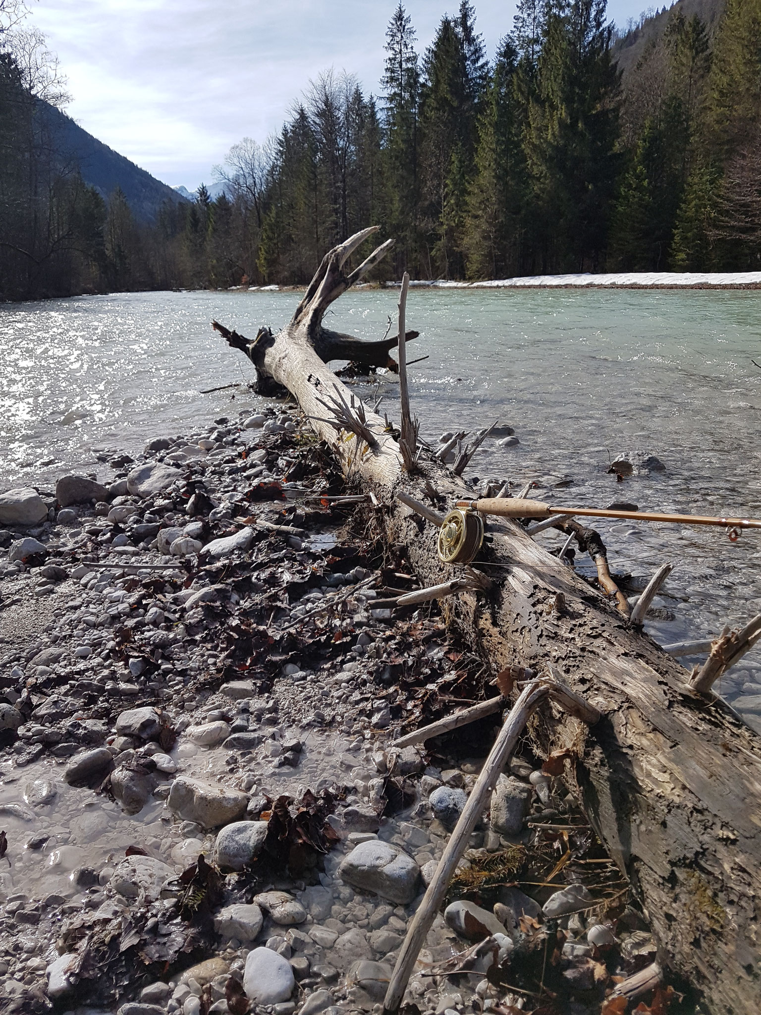 17.03.2019 und wieder hat sich viel Totholz im Winter im Flussbett verankert,