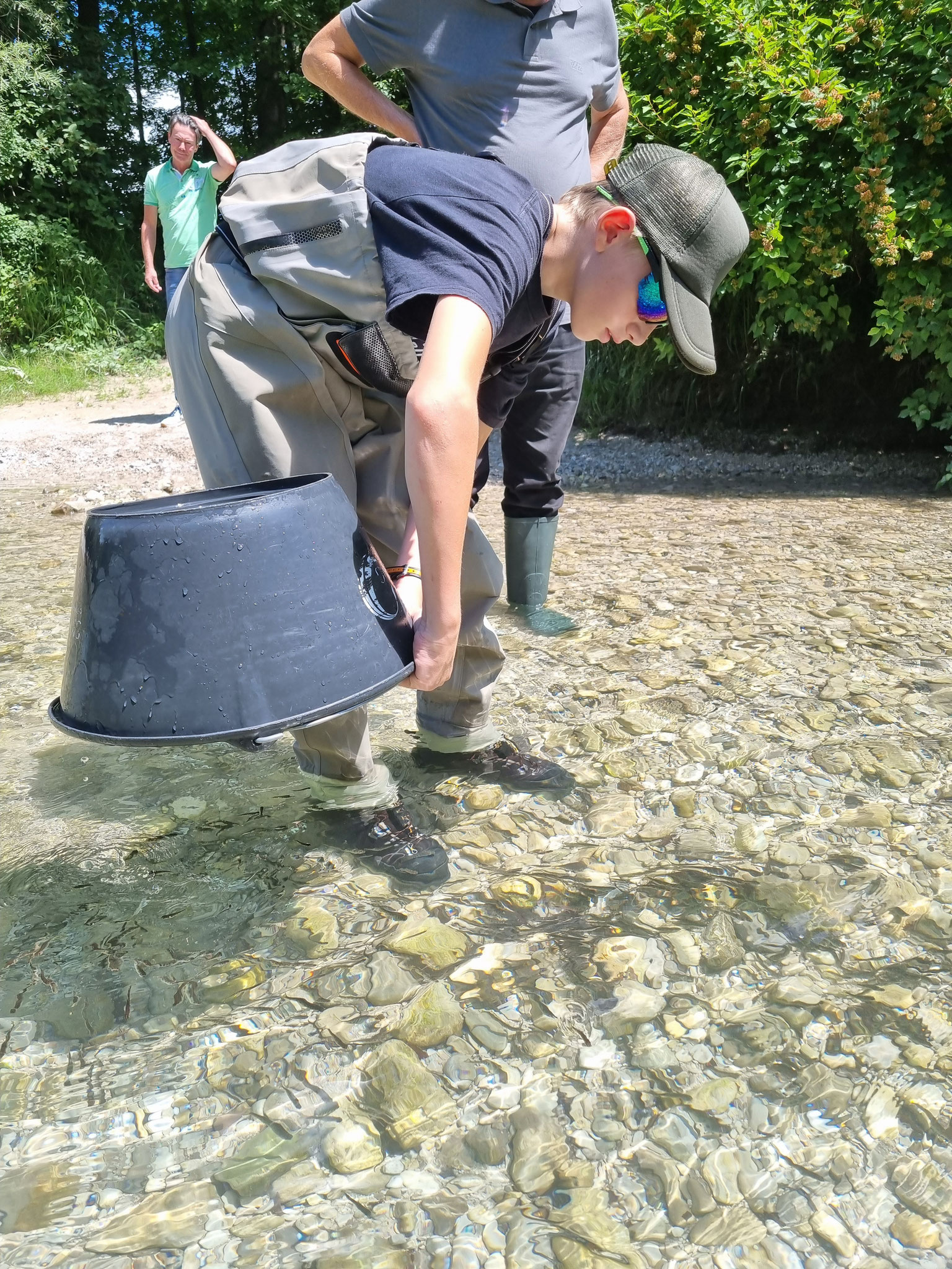 Besatz Alm Stroblwasser