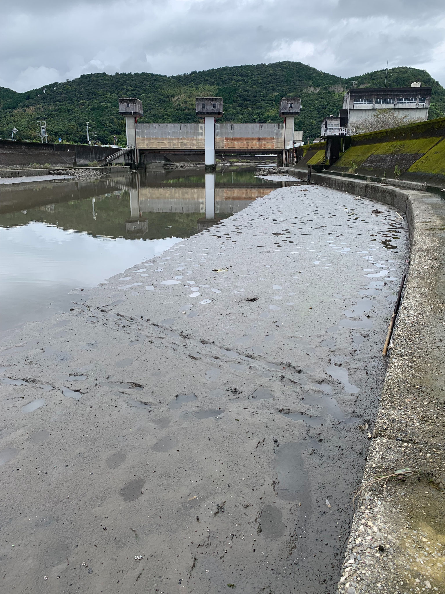 大潮干潮時の水位。川底にはヘドロが溜まっている。