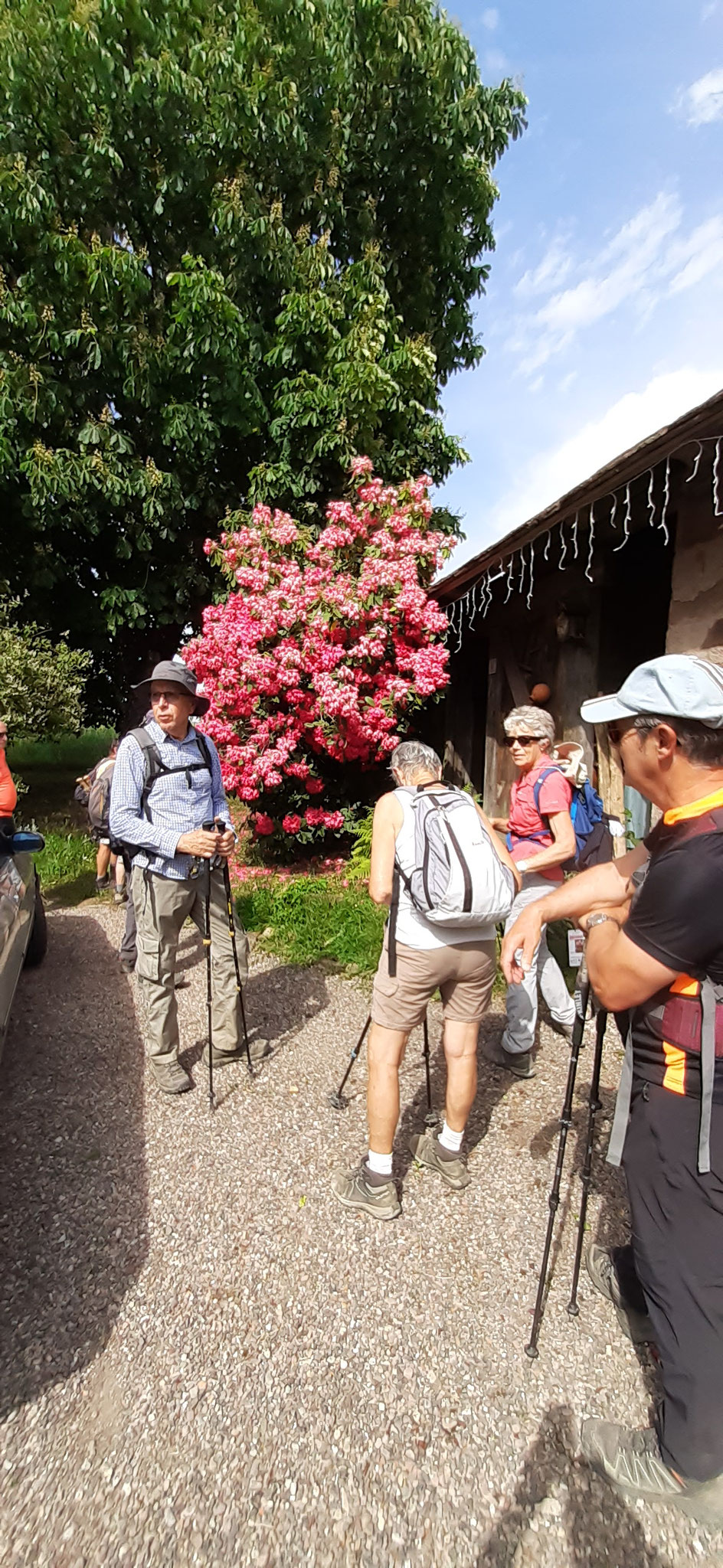 Le chalot et son remarquable rhododendron.