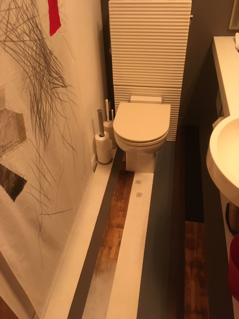 8gi house toilet